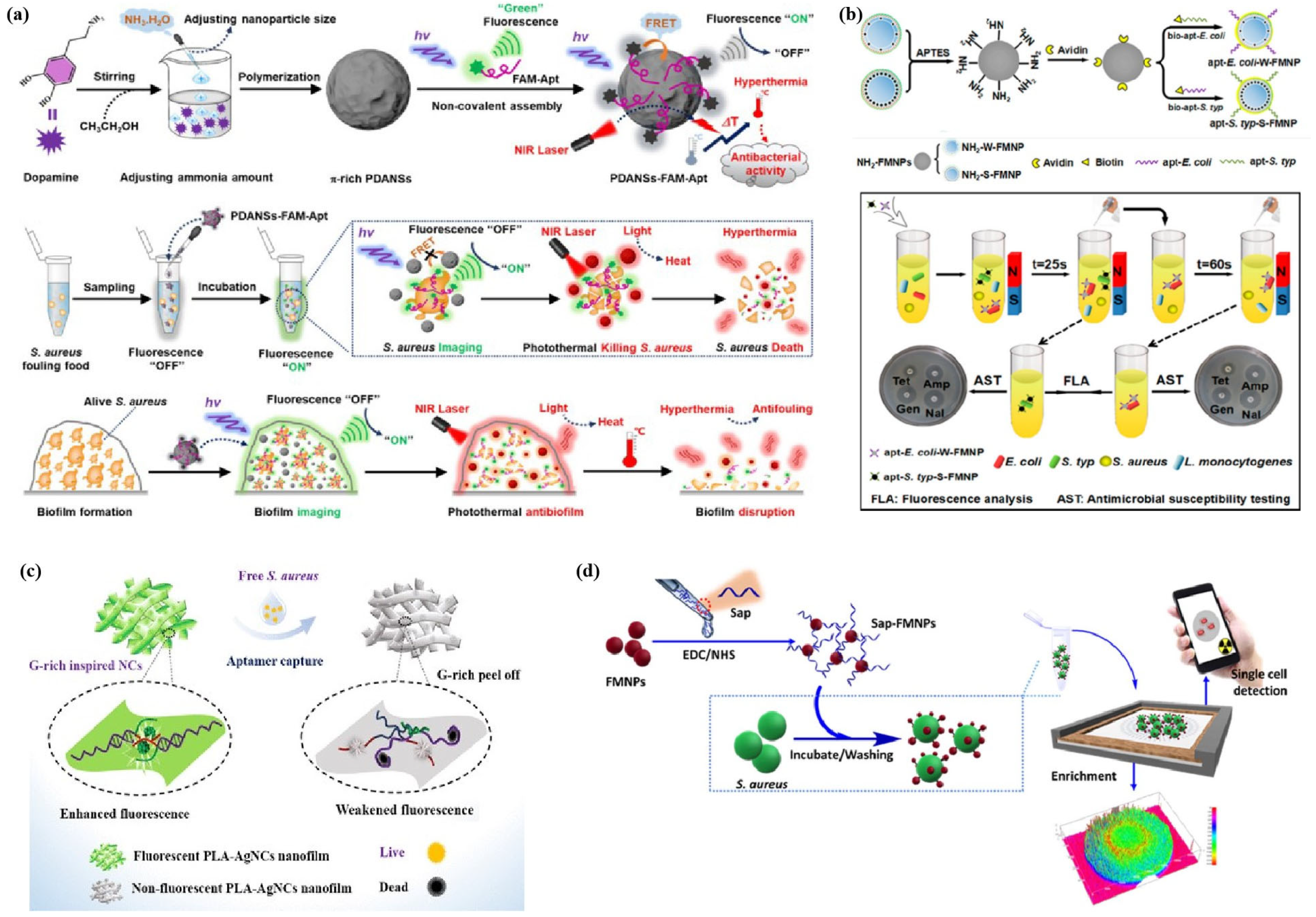 Chemosensors 13 00182 g010