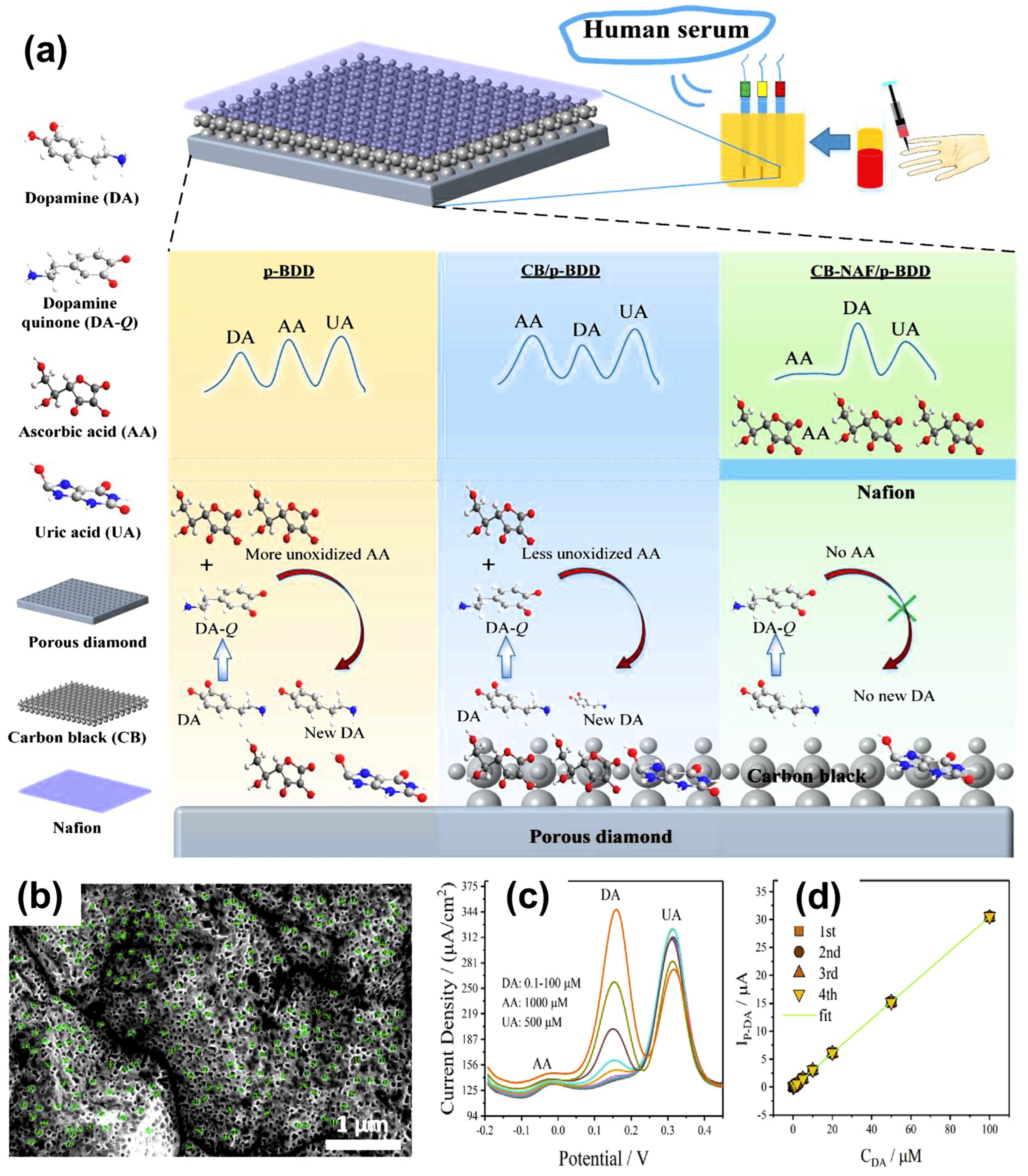 Chemosensors 13 00183 g002