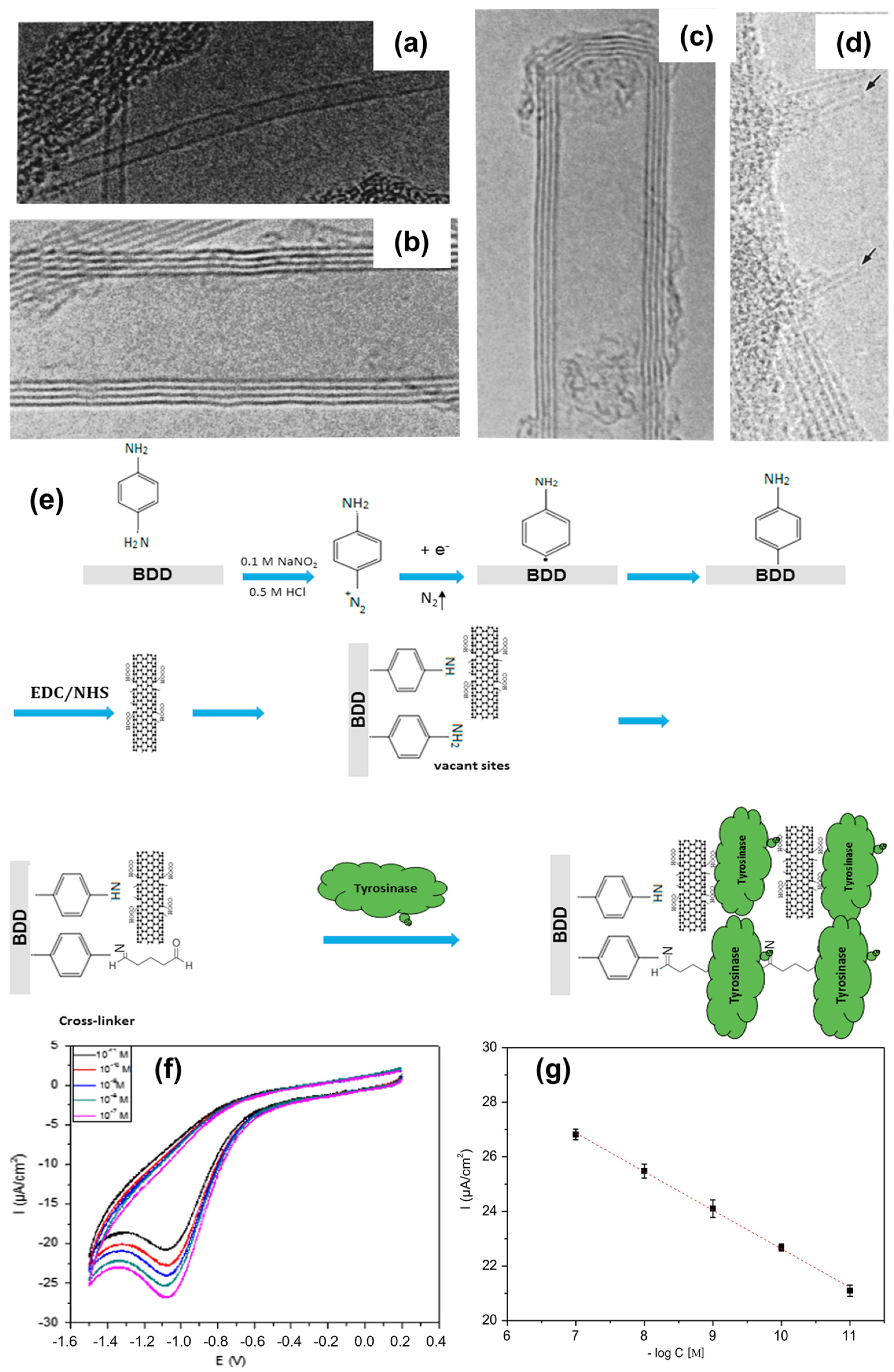 Chemosensors 13 00183 g003