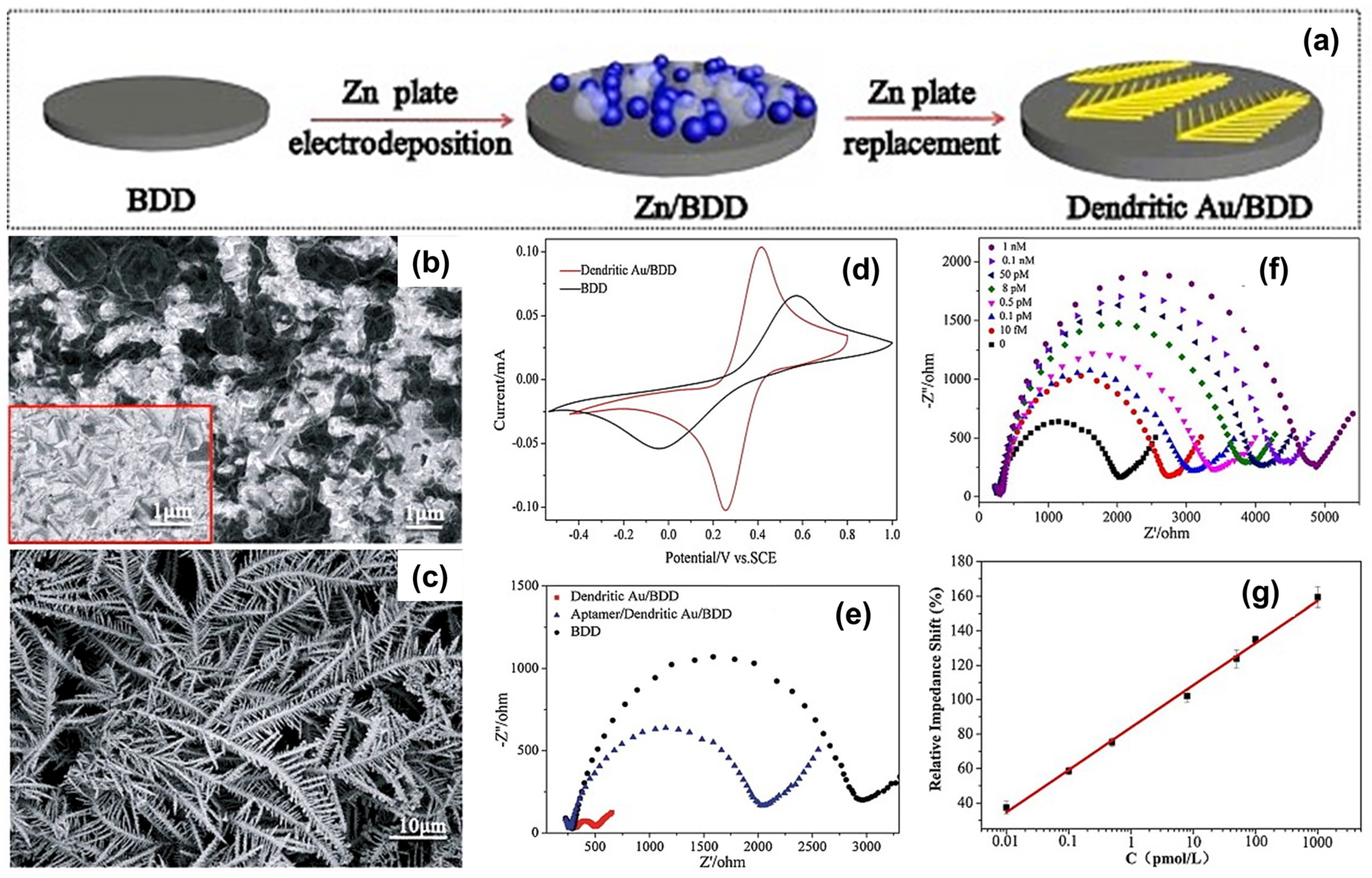 Chemosensors 13 00183 g004