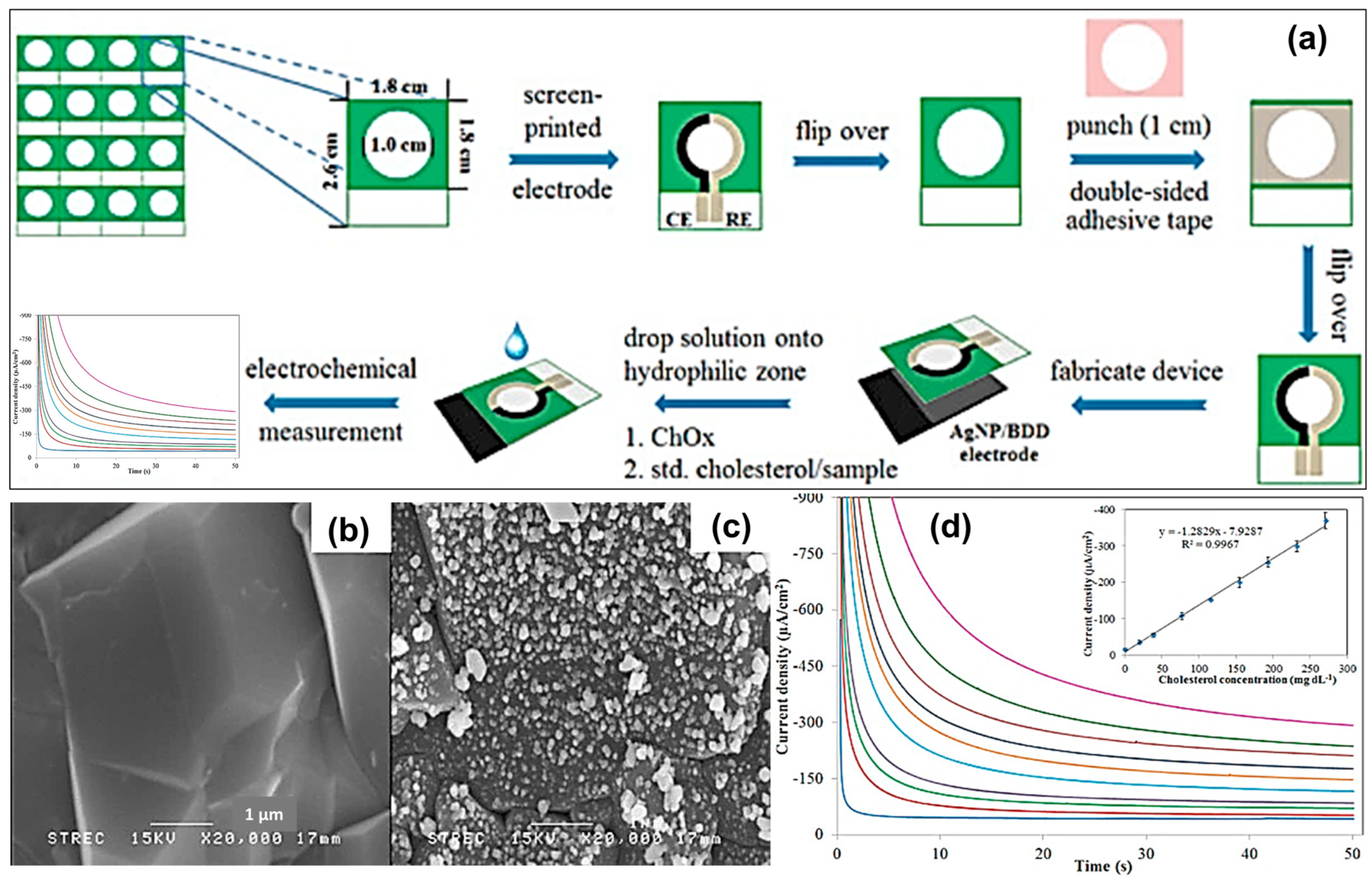 Chemosensors 13 00183 g006
