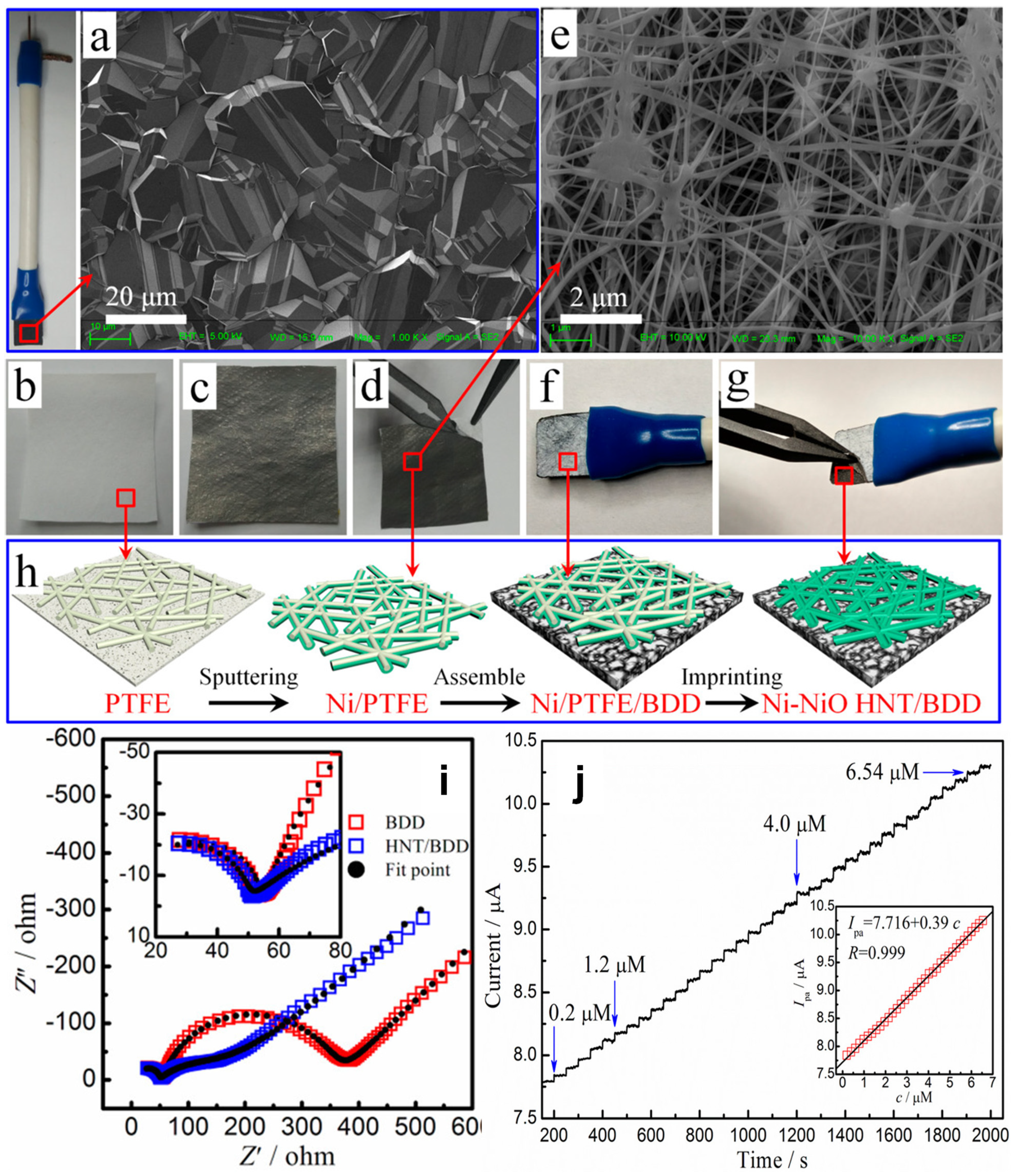 Chemosensors 13 00183 g007