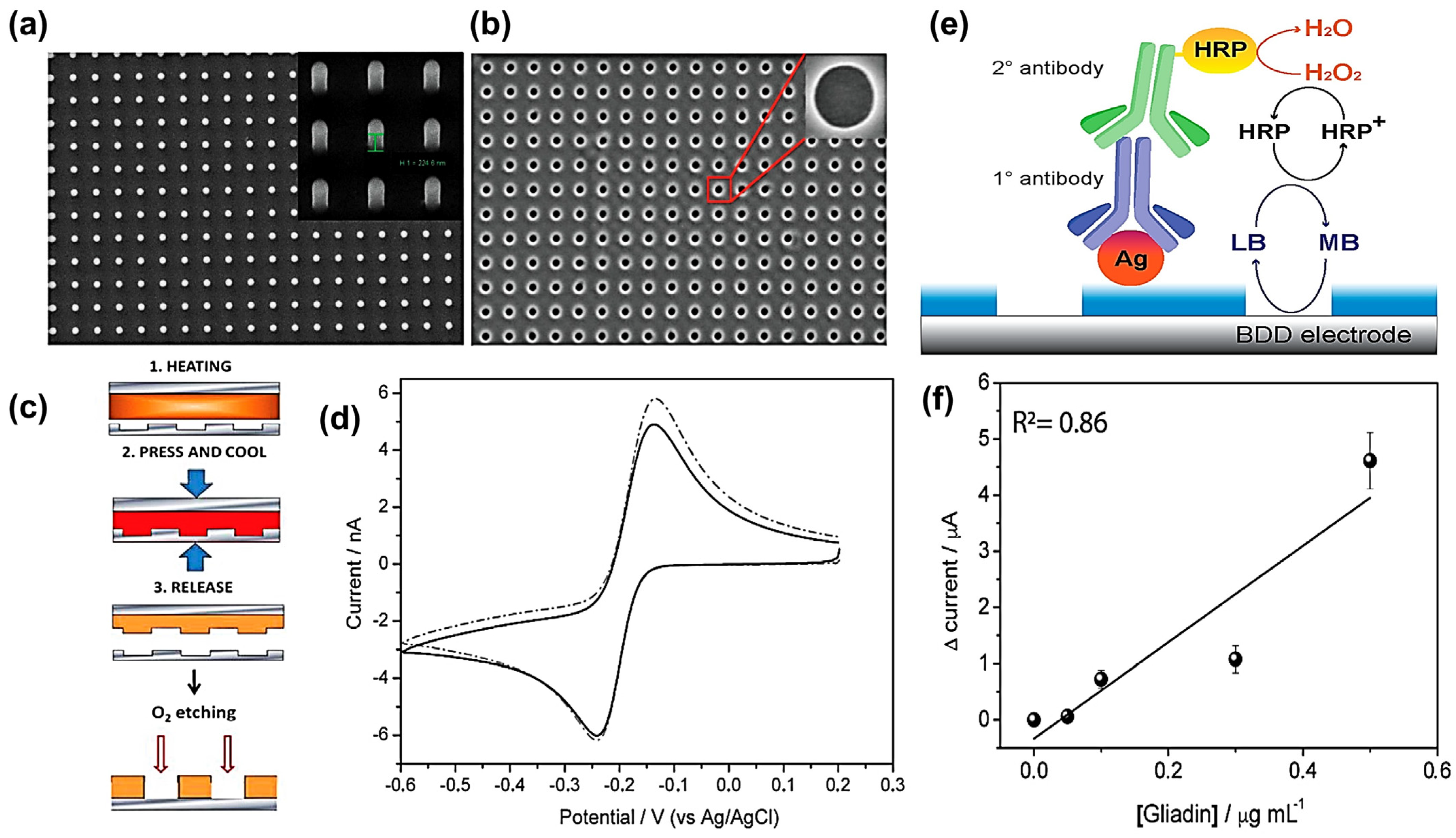 Chemosensors 13 00183 g010