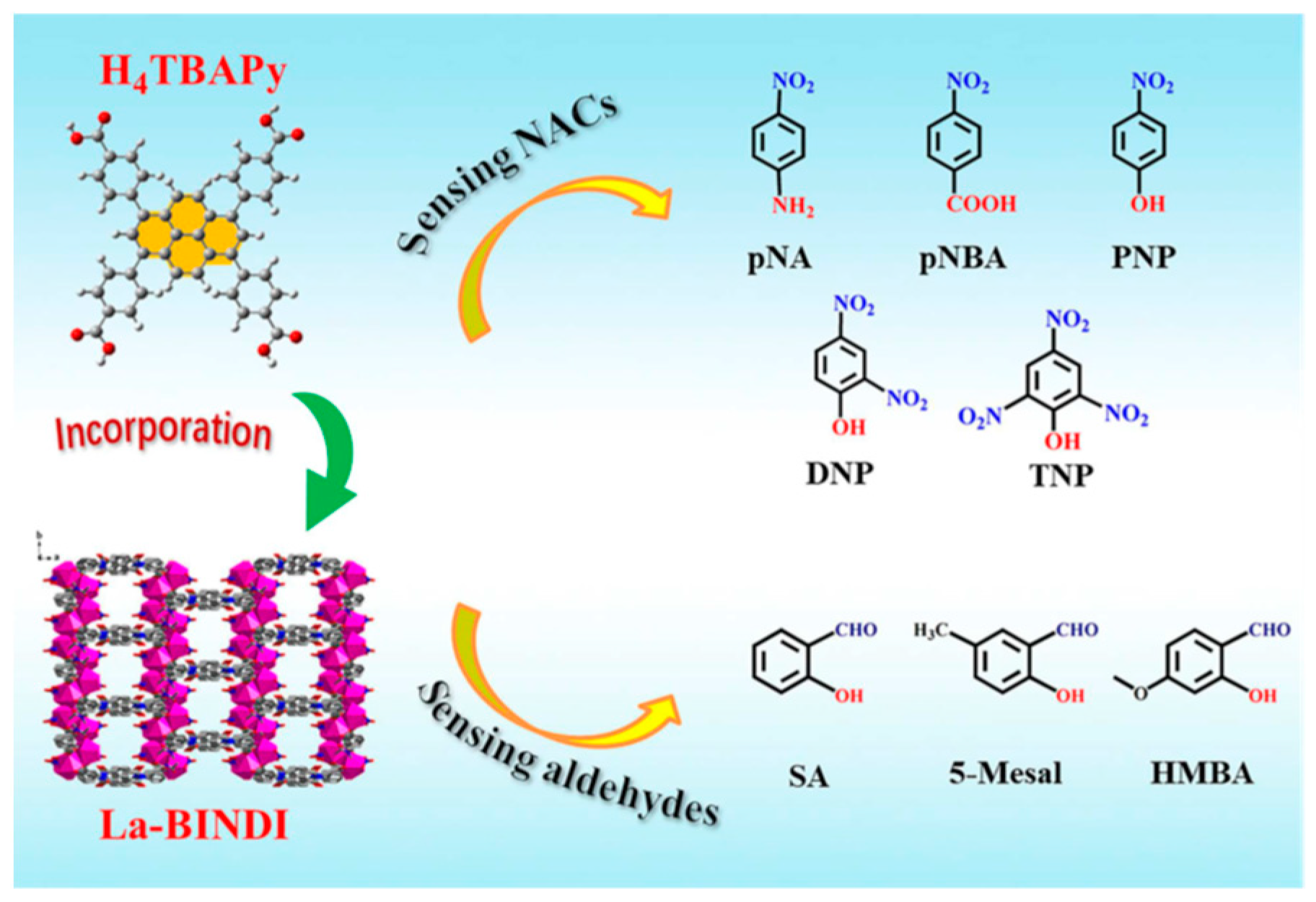 Chemosensors 13 00184 g005