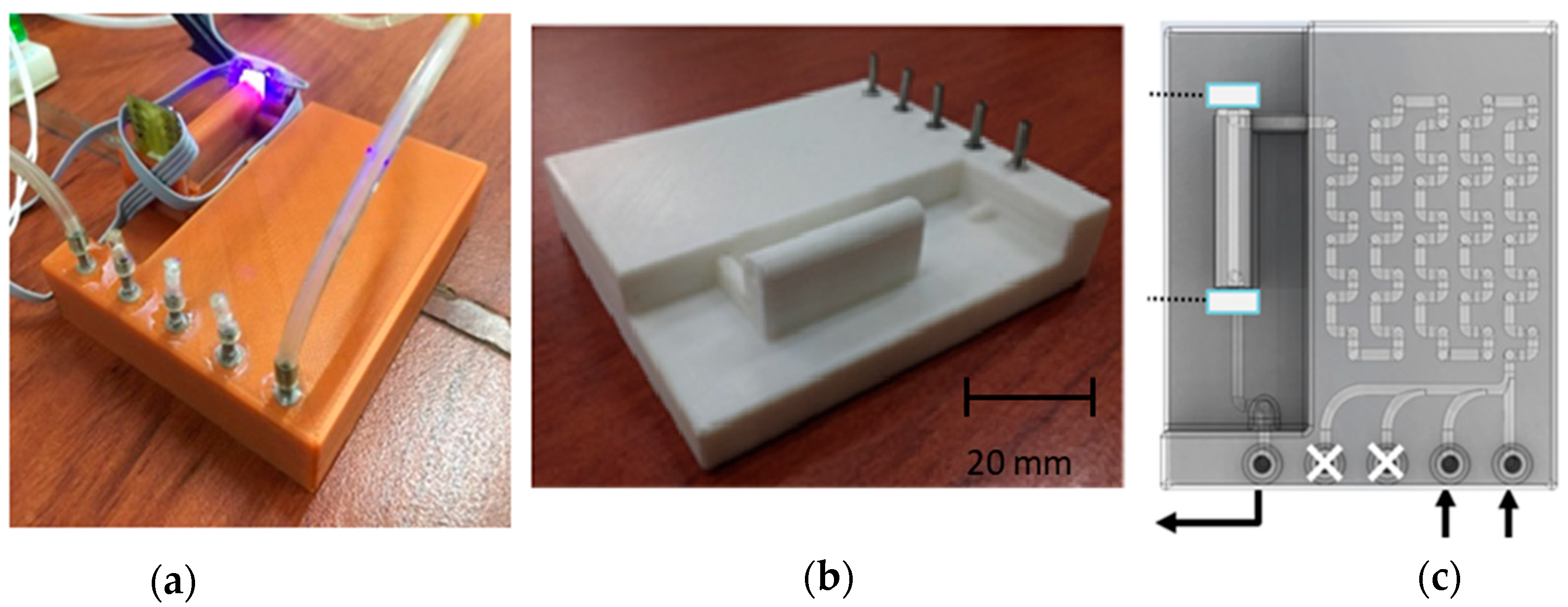 Chemosensors 13 00191 g009