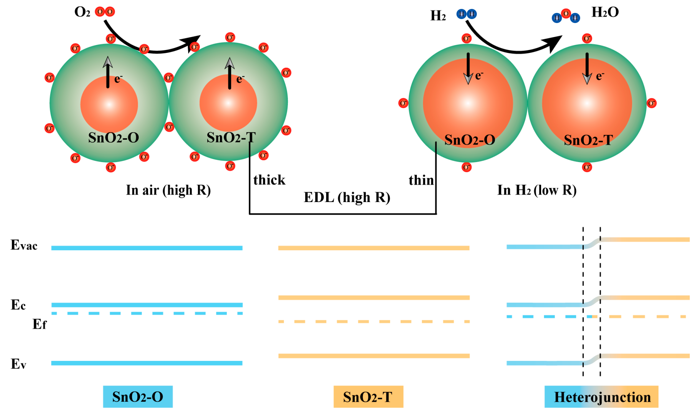 Chemosensors 13 00192 g007