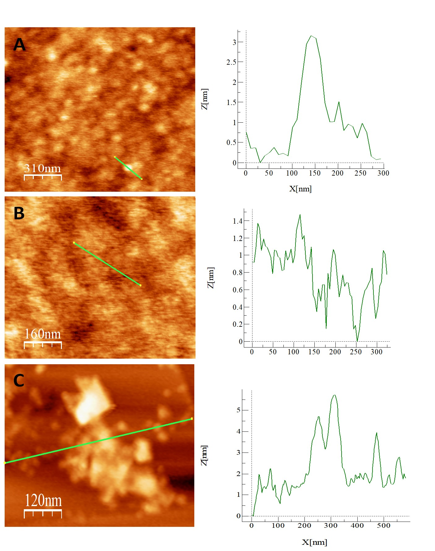 Chemosensors 13 00195 g003