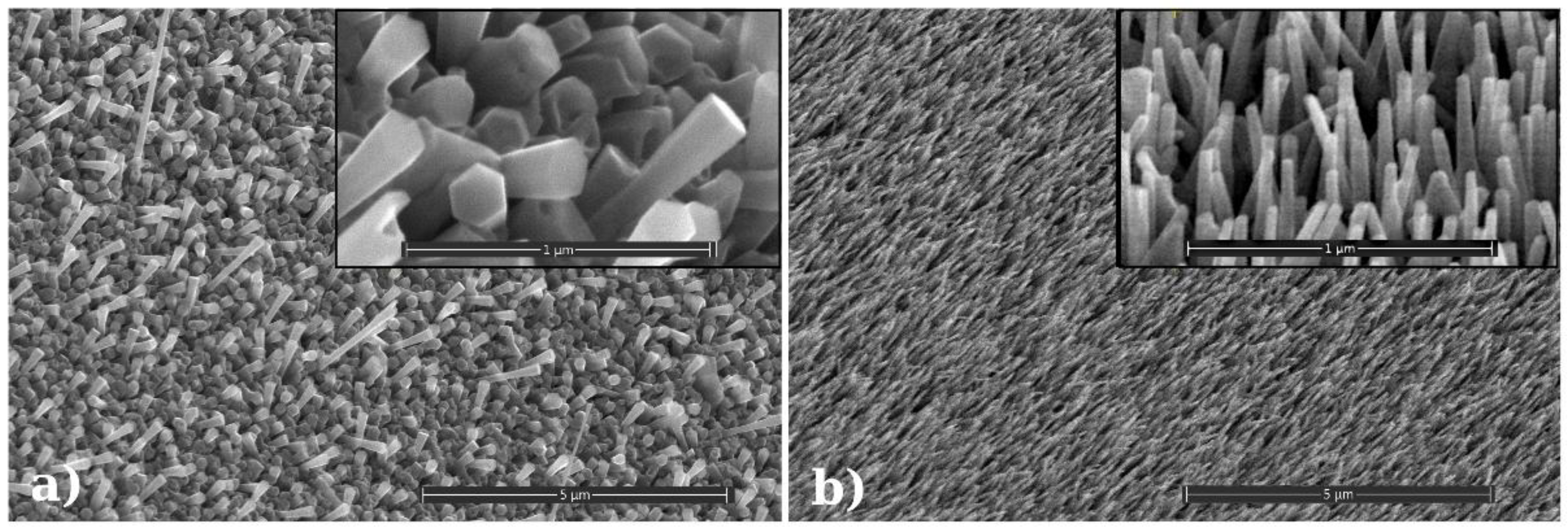 Chemosensors 13 00197 g002