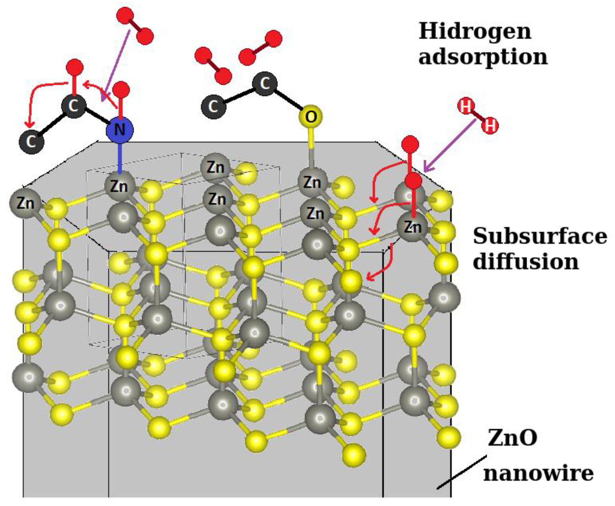 Chemosensors 13 00197 g009