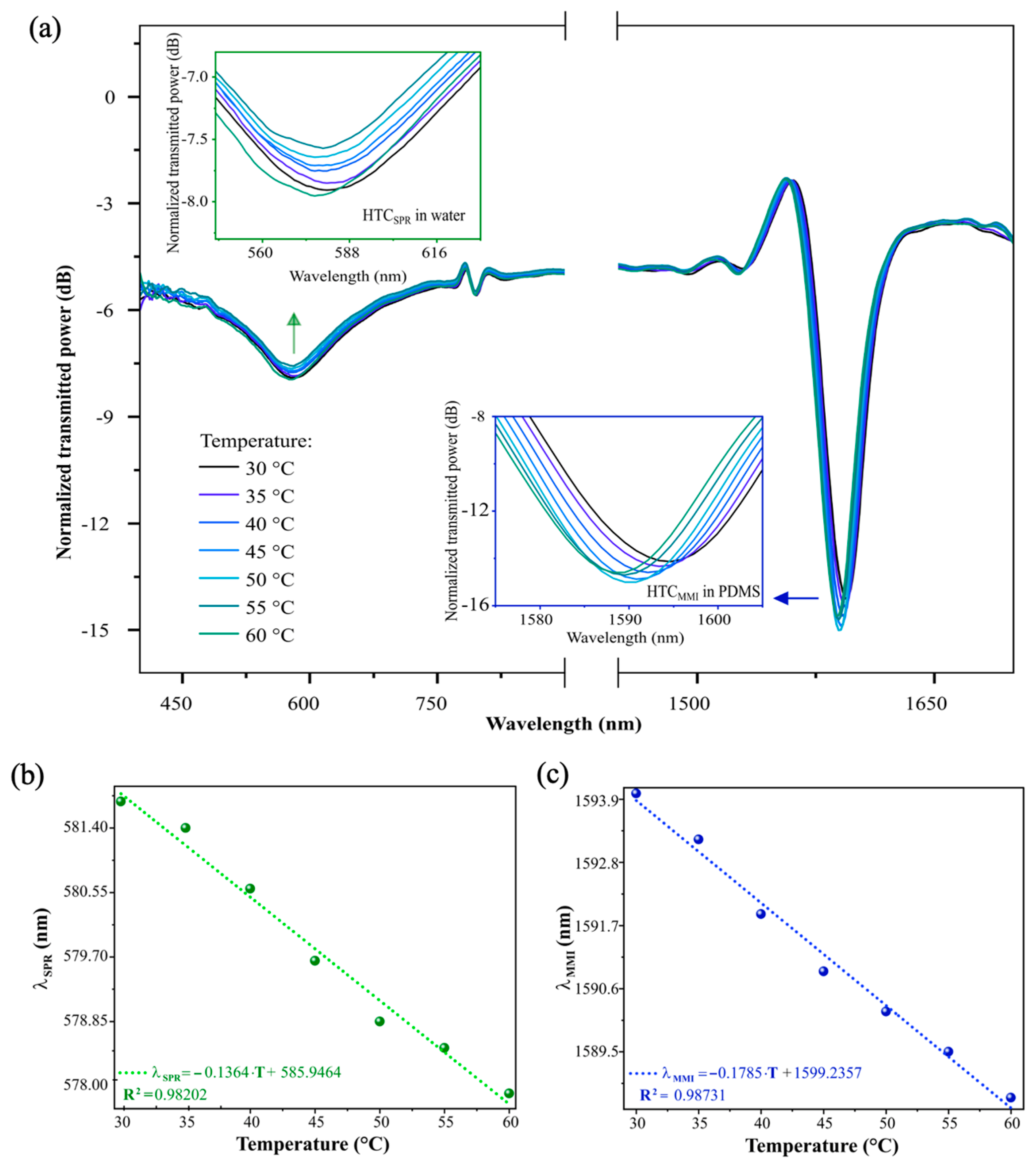 Chemosensors 13 00198 g003
