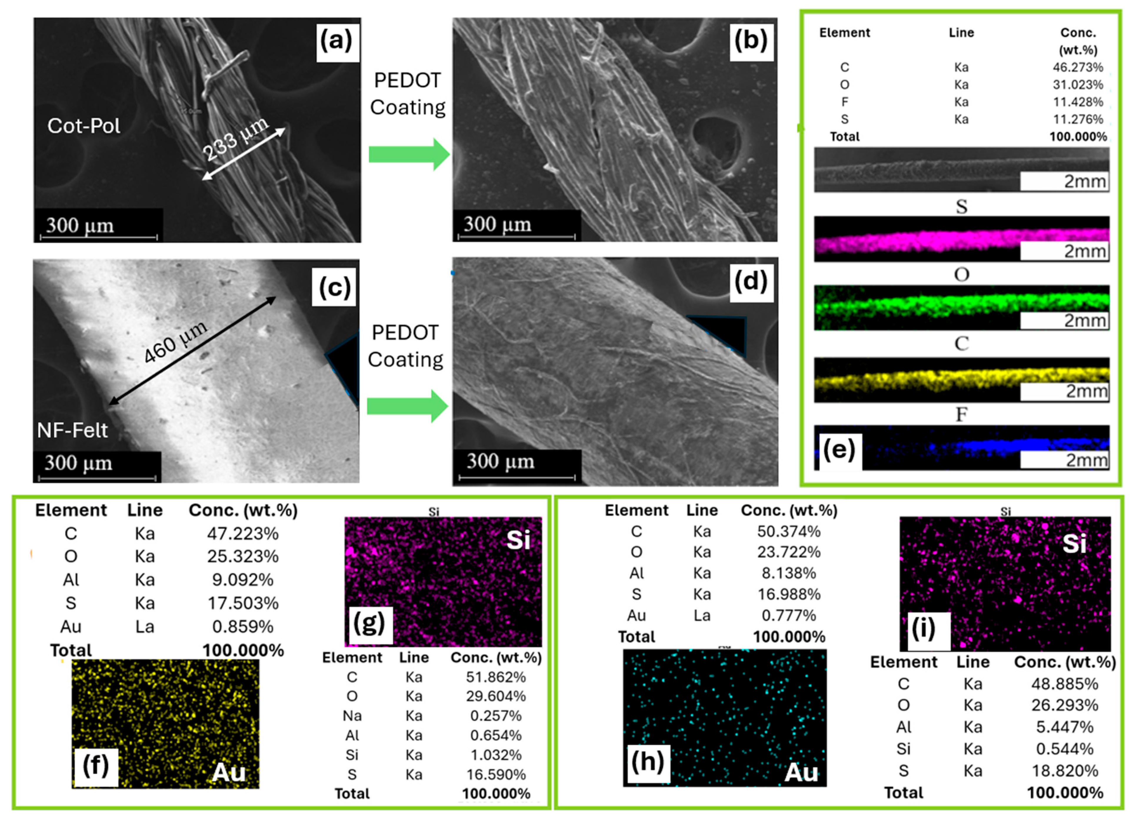 Chemosensors 13 00199 g002