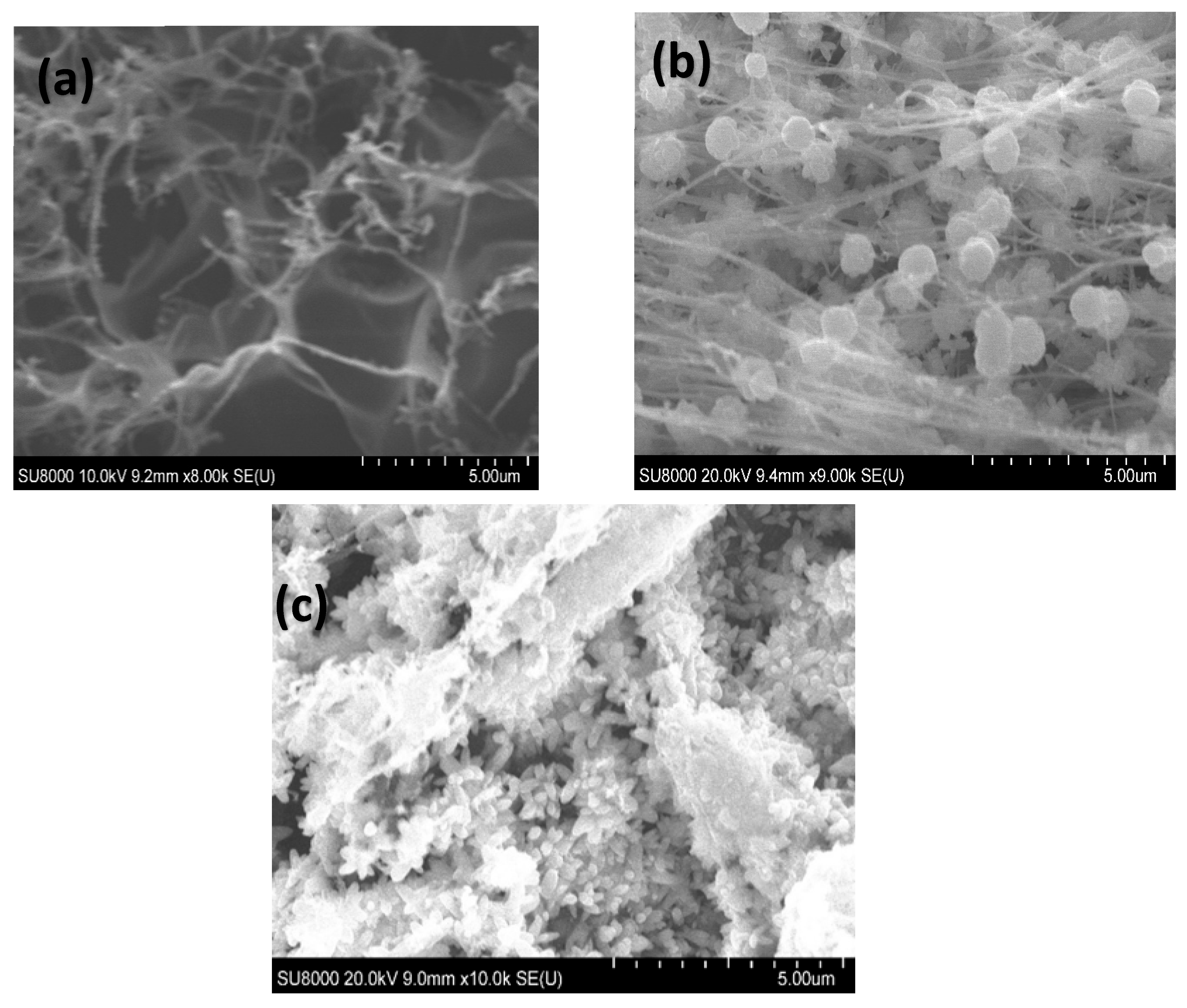 Chemosensors 13 00201 g003