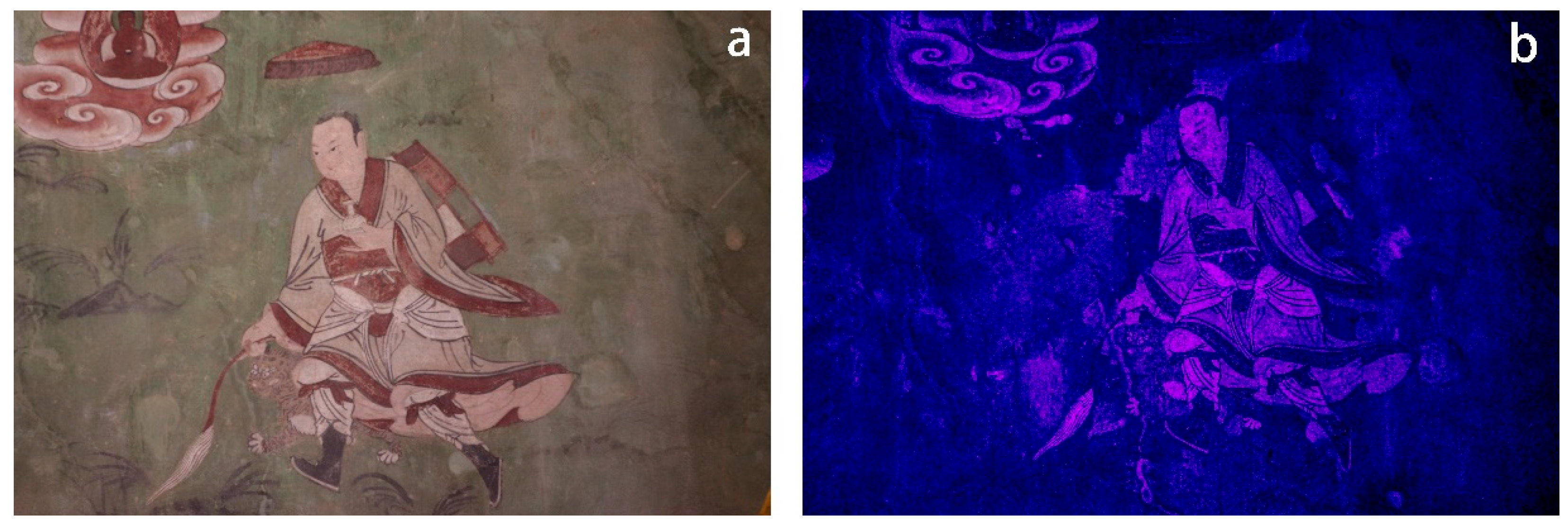 Chemosensors 13 00202 g012