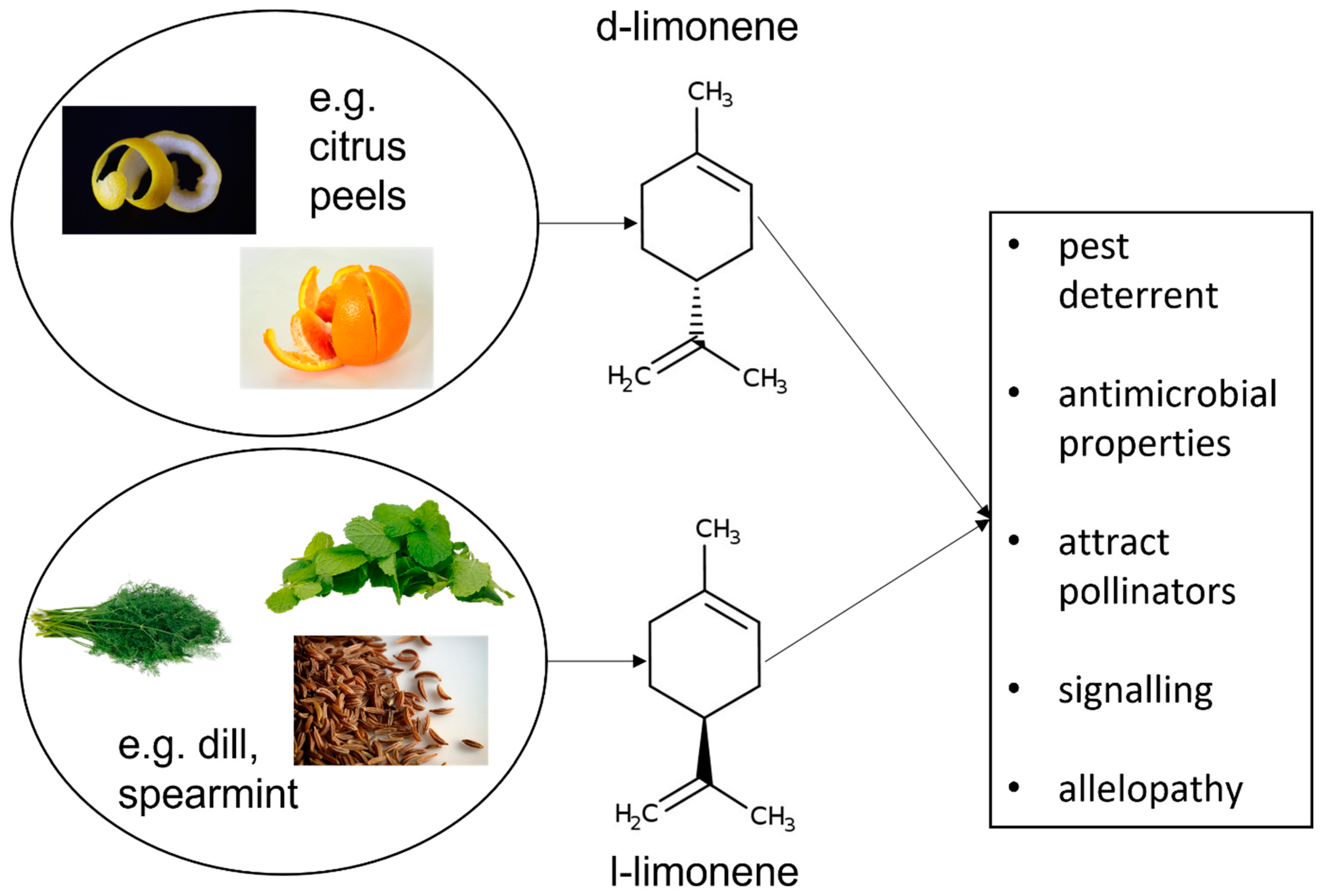 Chemosensors 13 00204 g001