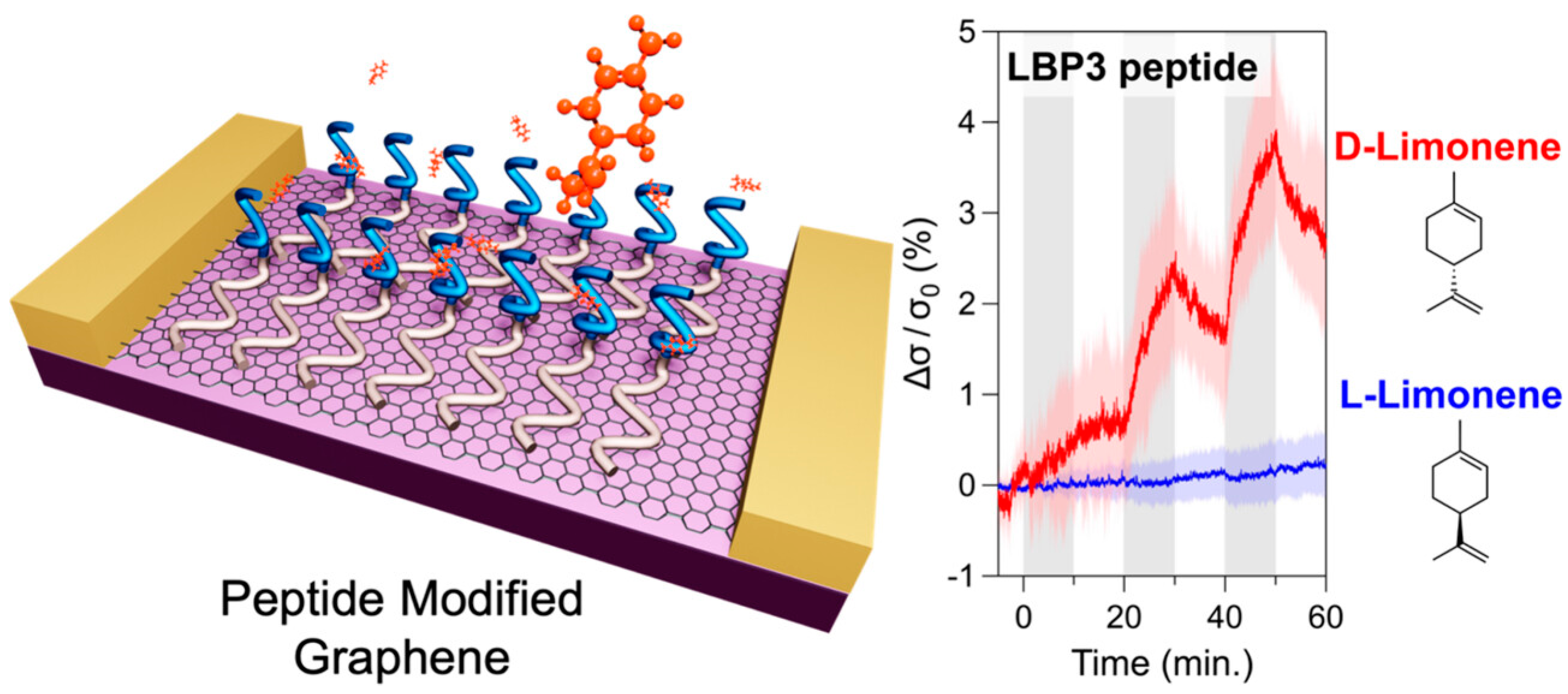 Chemosensors 13 00204 g007