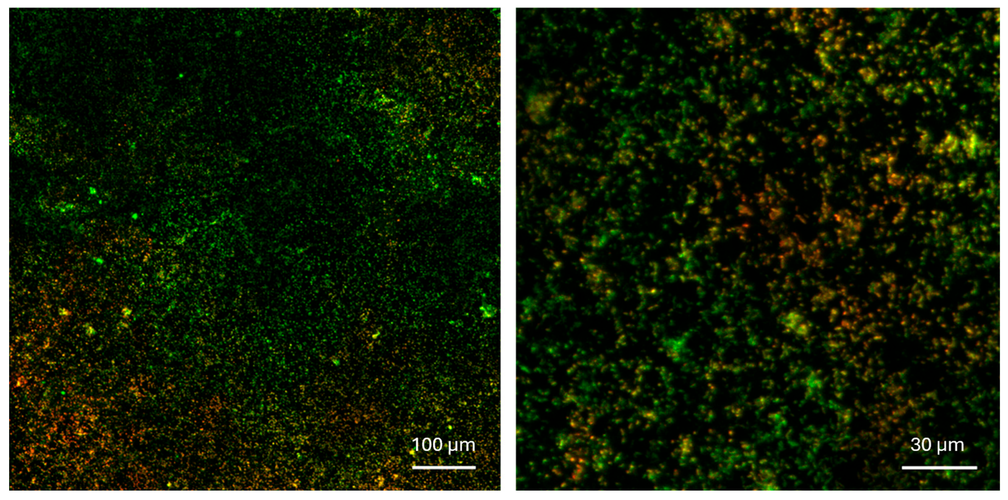 Chemosensors 13 00211 g004