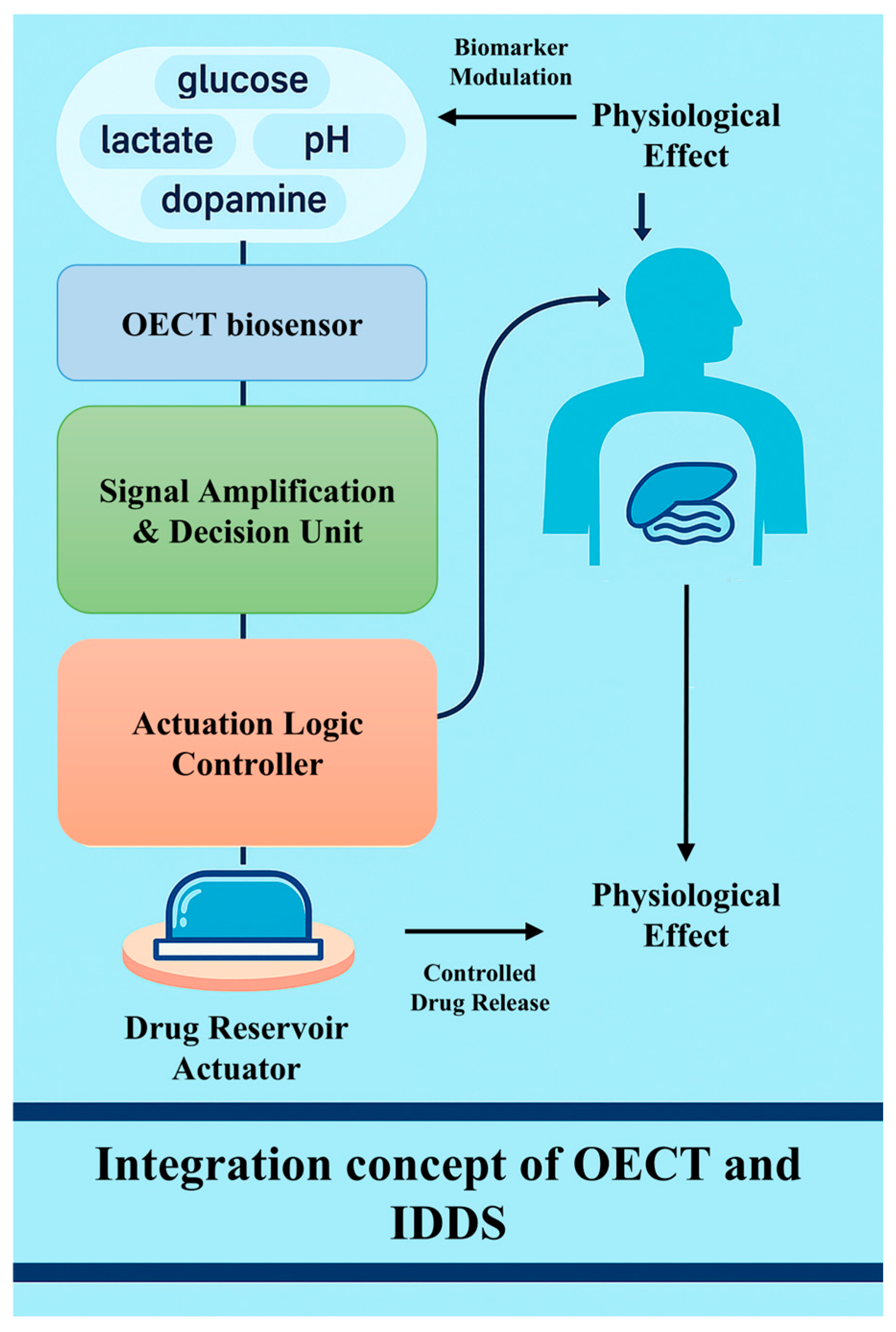 Chemosensors 13 00215 g006