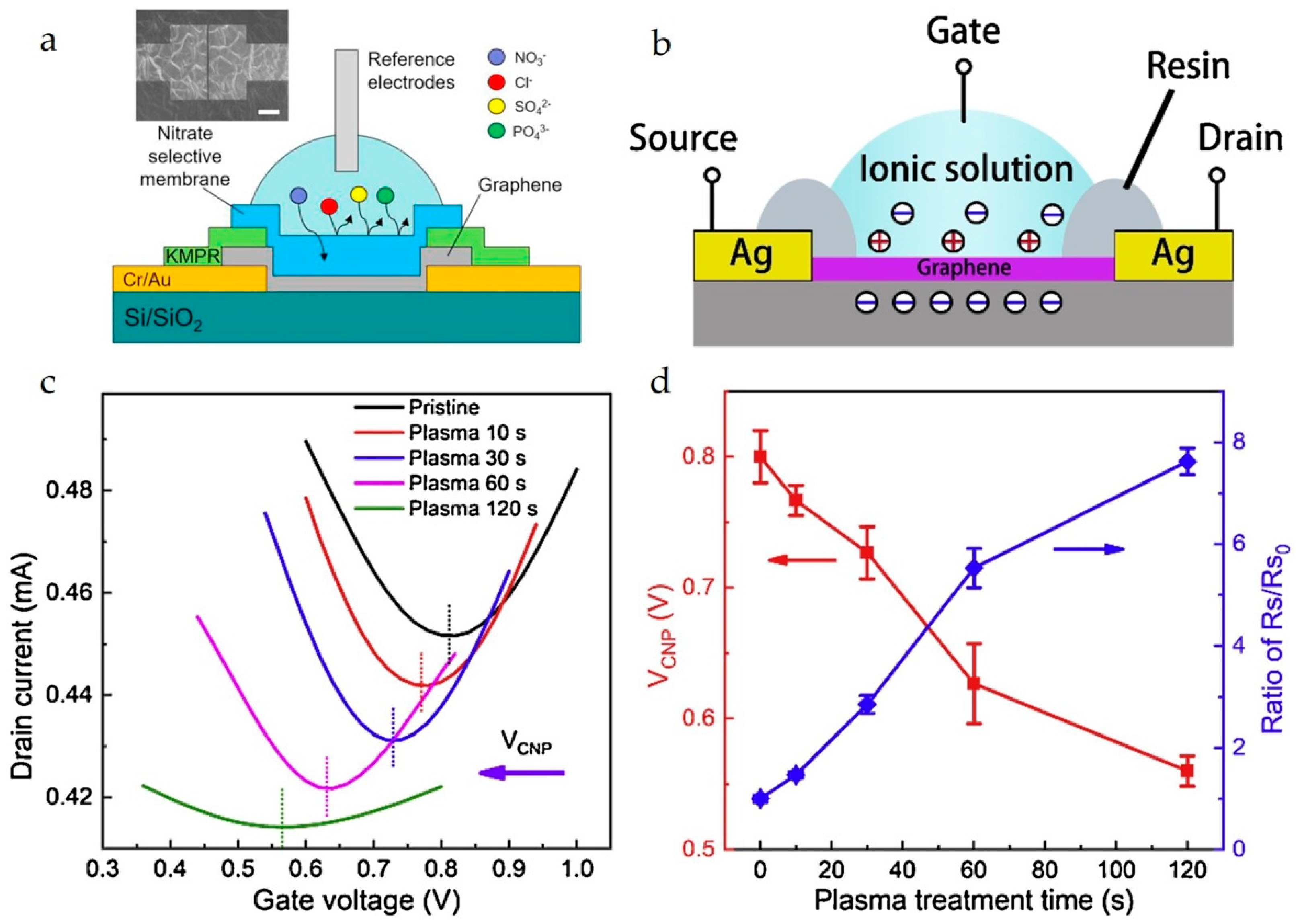 Chemosensors 13 00217 g006