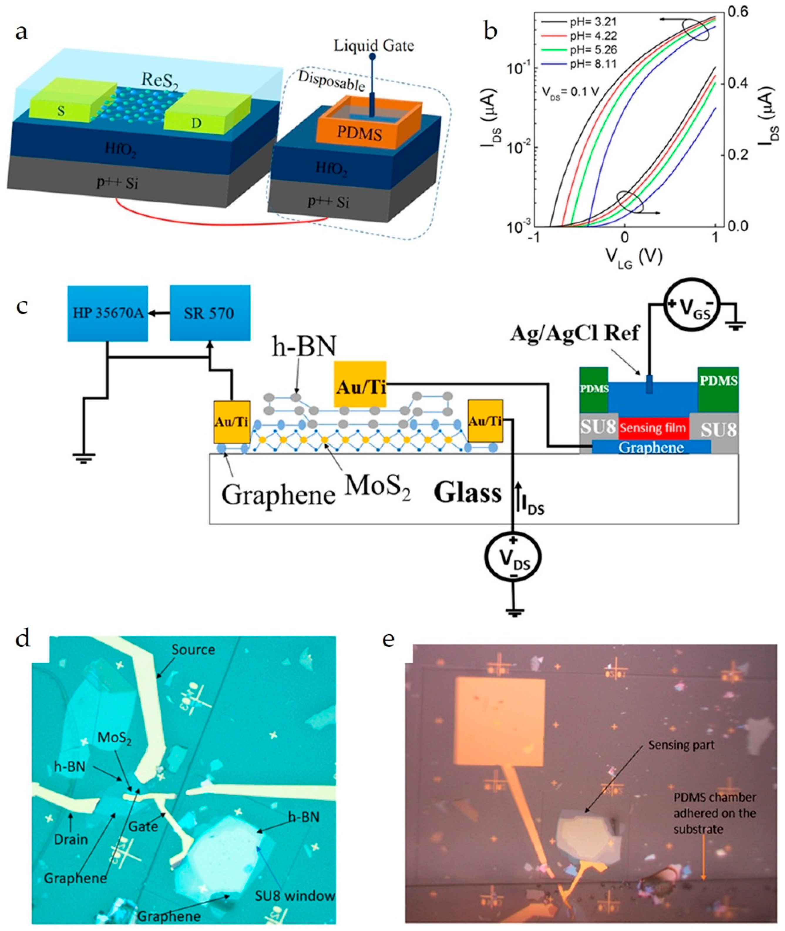 Chemosensors 13 00217 g007