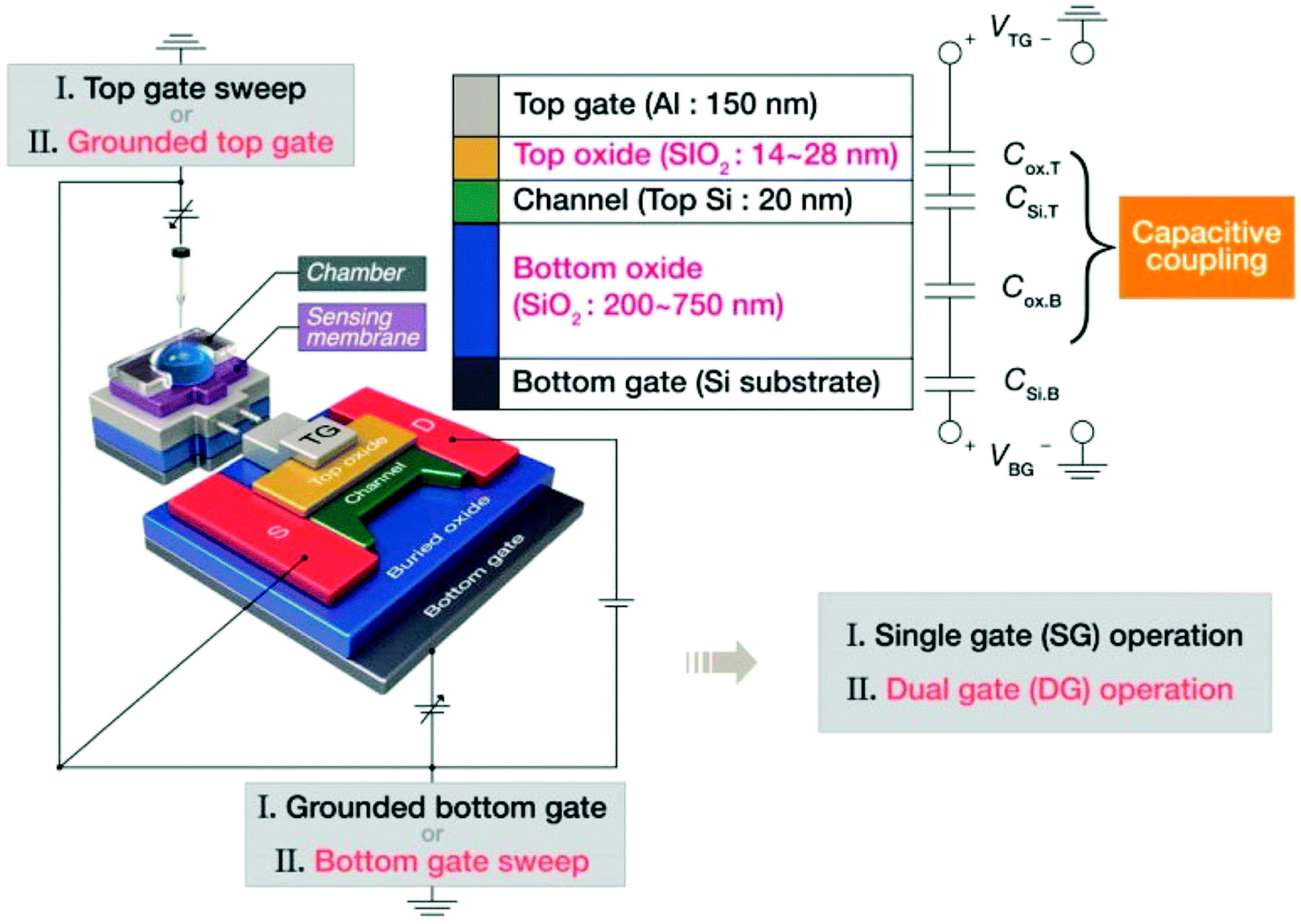 Chemosensors 13 00217 g008