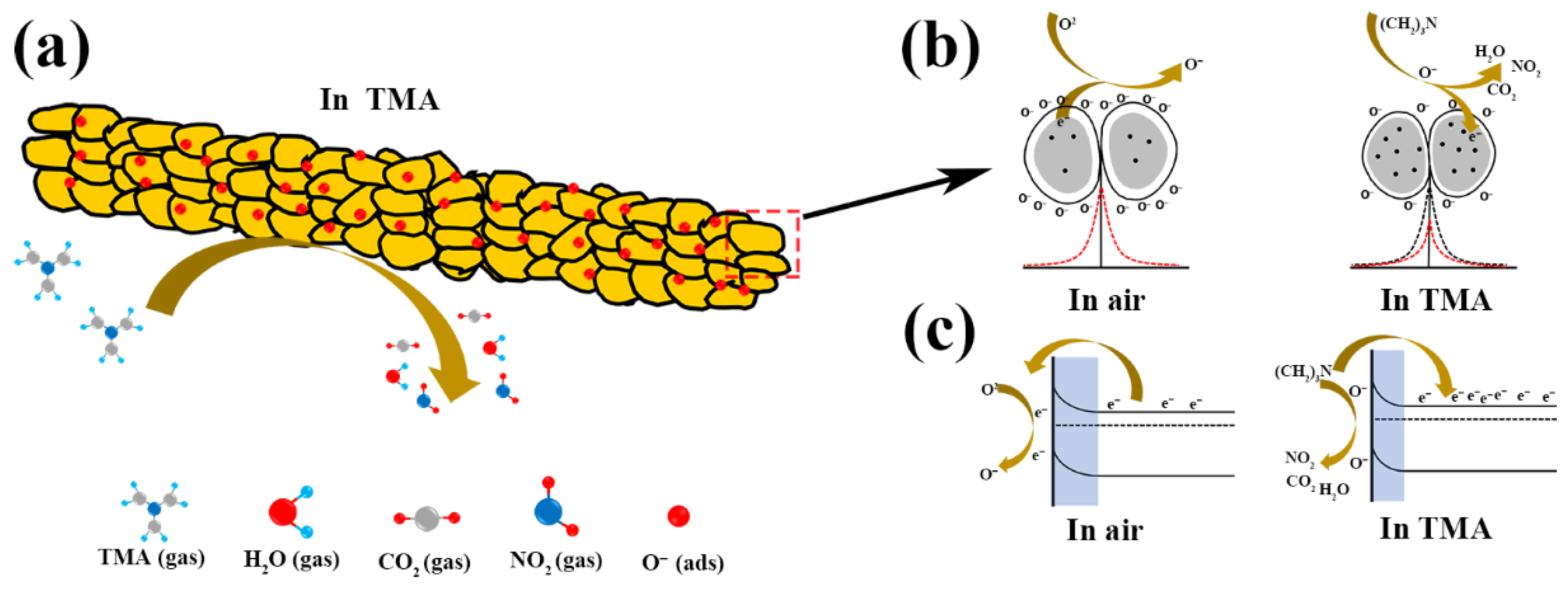 Chemosensors 13 00218 g010