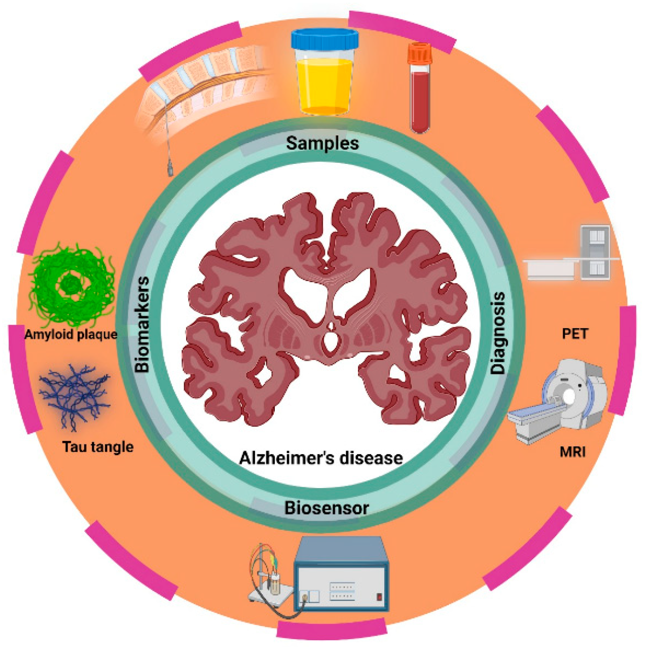 Chemosensors 13 00220 g001