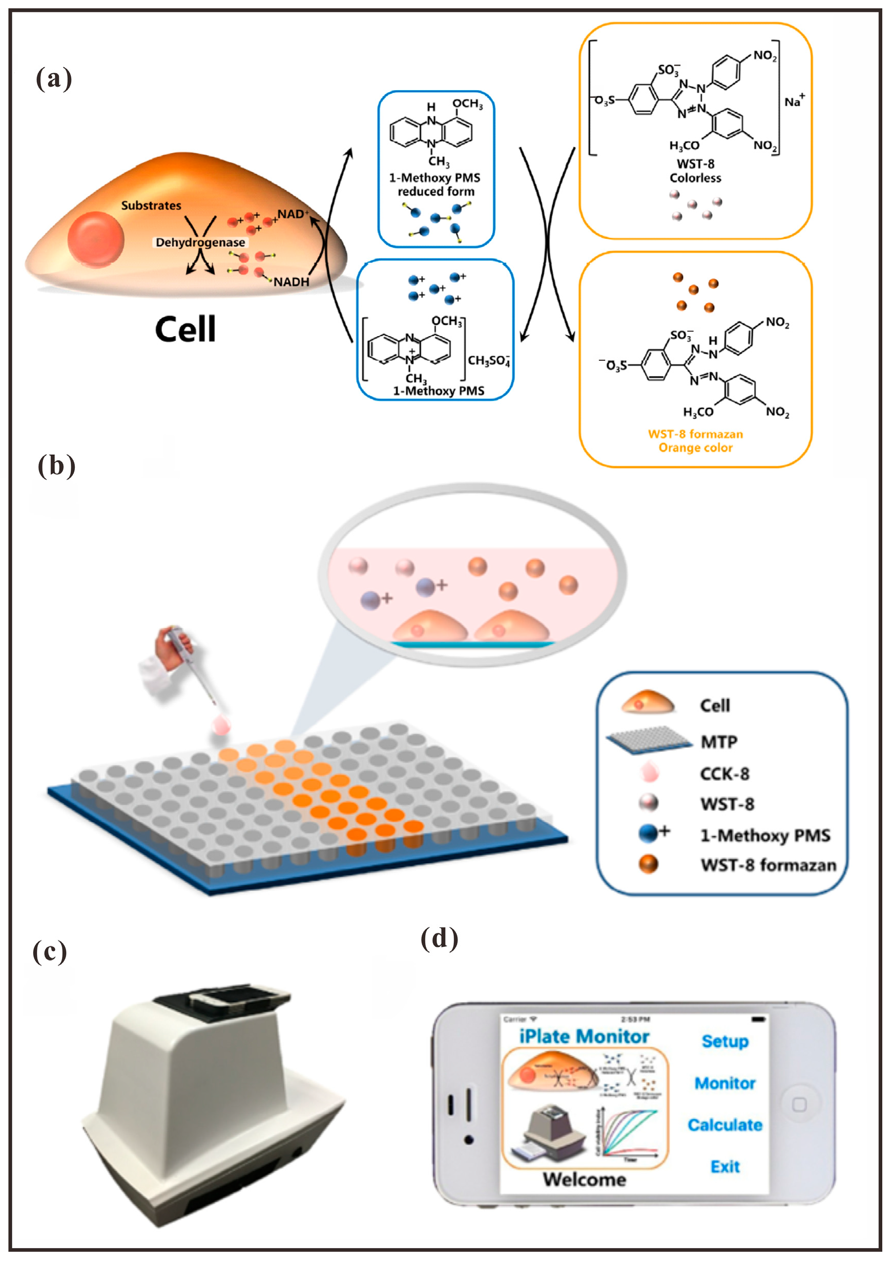 Chemosensors 13 00221 g013
