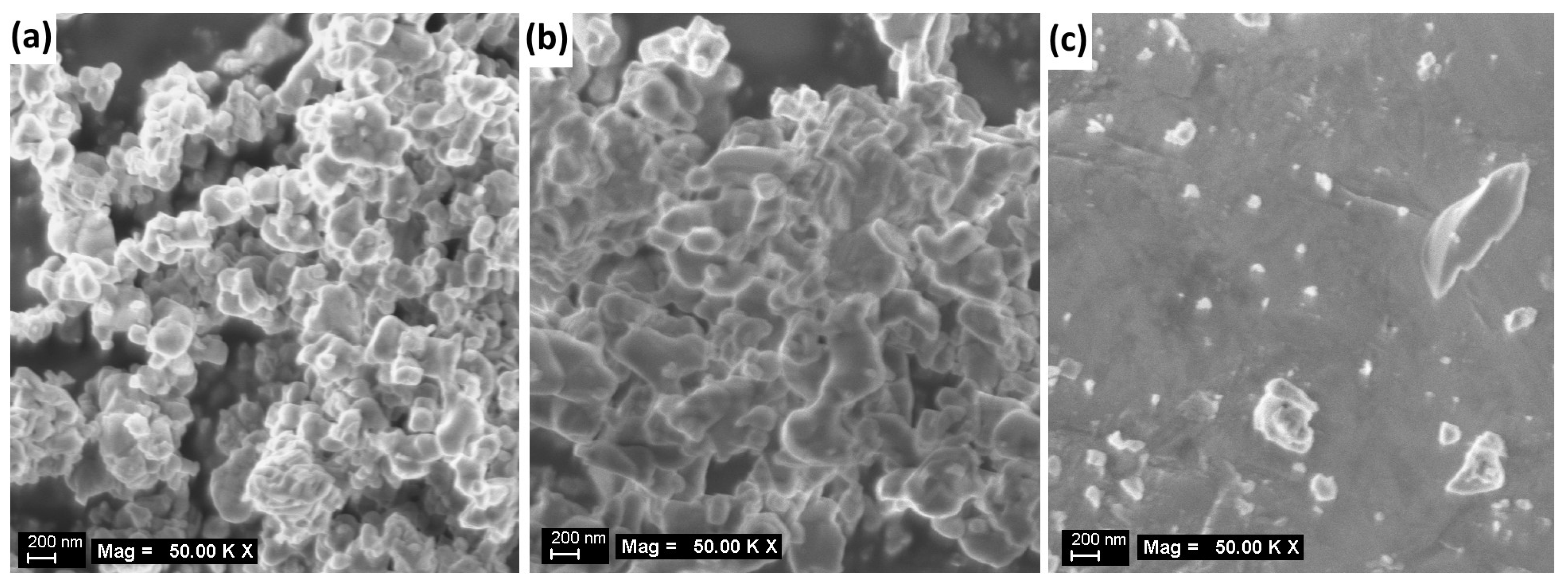 Chemosensors 13 00222 g001