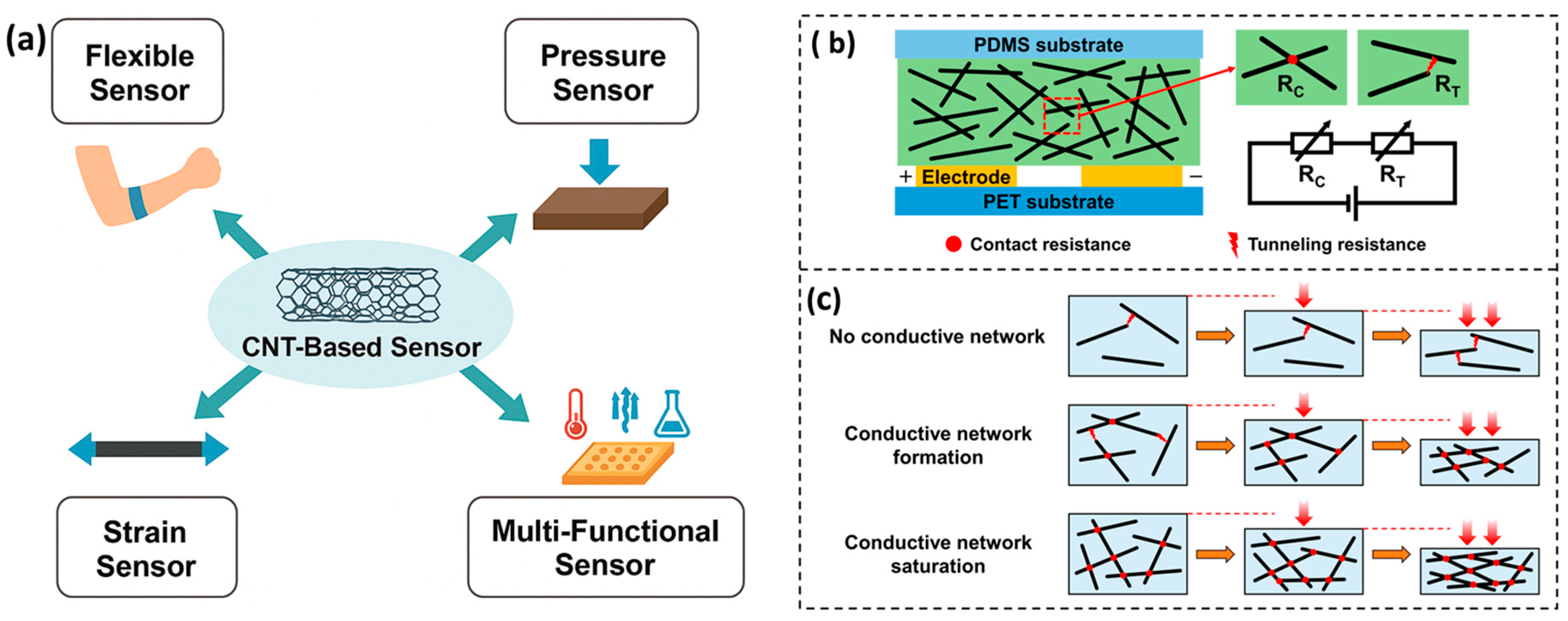 Chemosensors 13 00225 g003