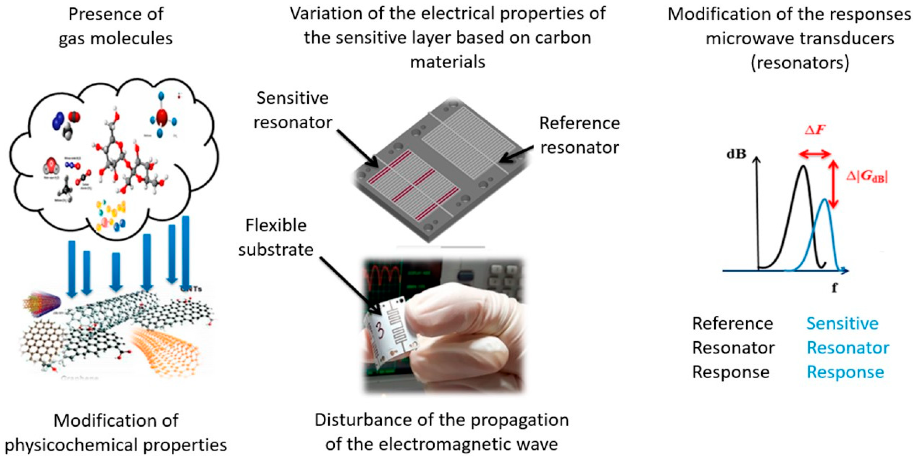 Chemosensors 13 00225 g005