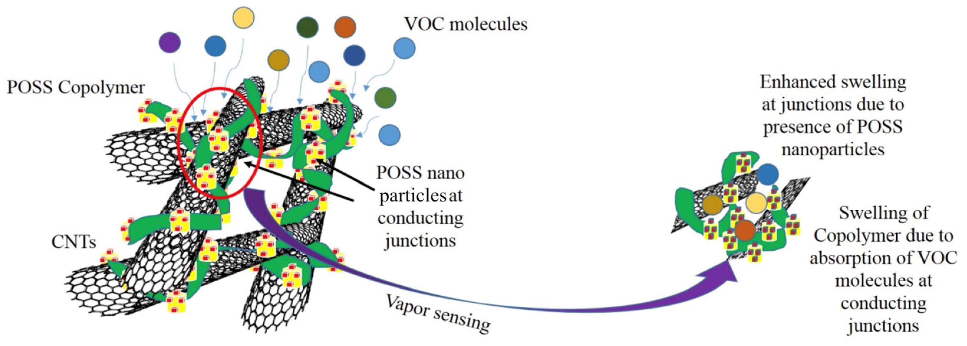 Chemosensors 13 00226 g006 Chemosensors 13 00226 g006