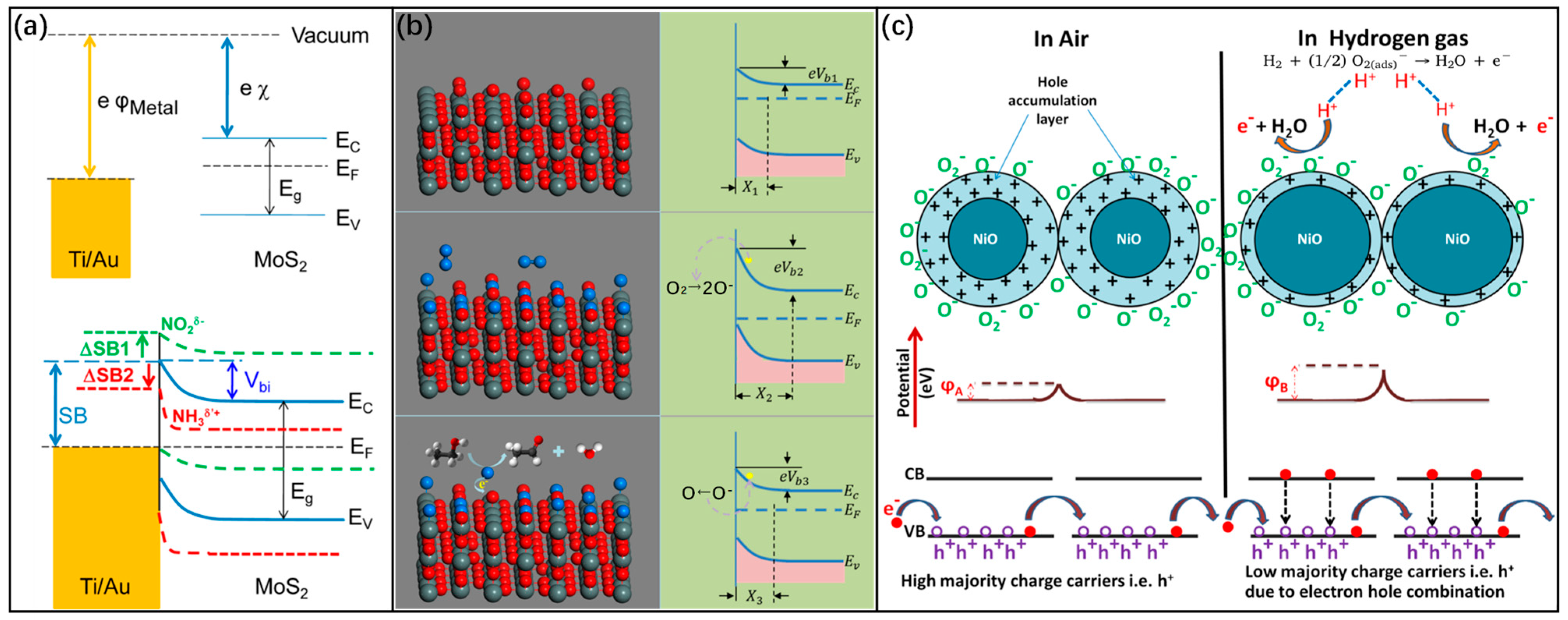 Chemosensors 13 00227 g006