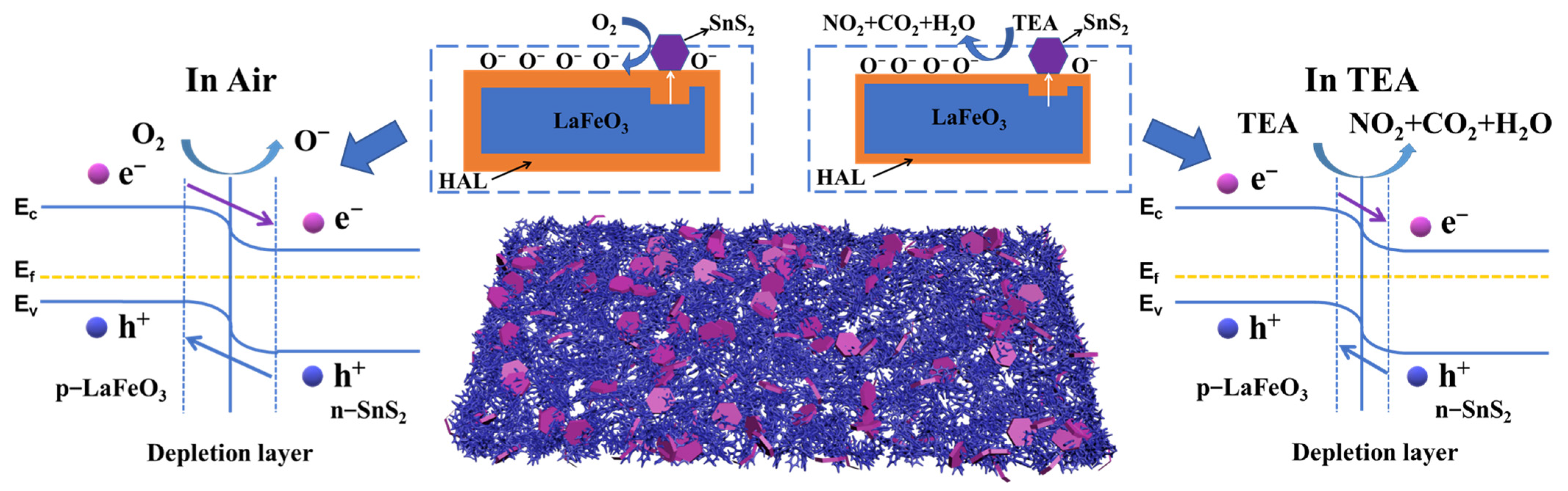 Chemosensors 13 00228 g013