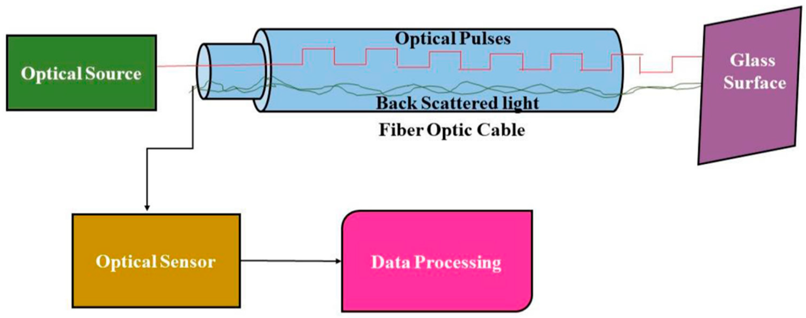 Chemosensors 13 00230 g010
