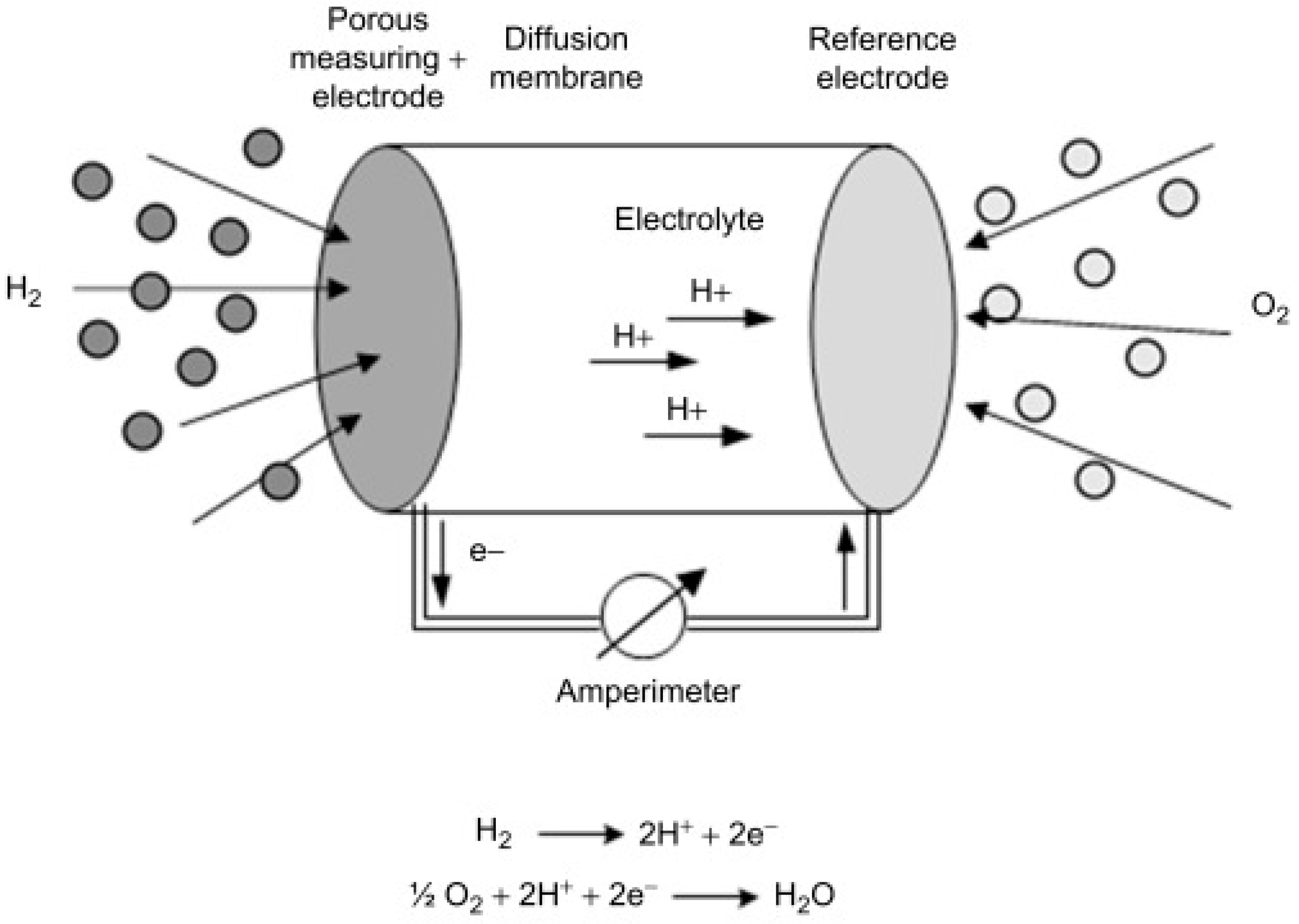 Chemosensors 13 00230 g016