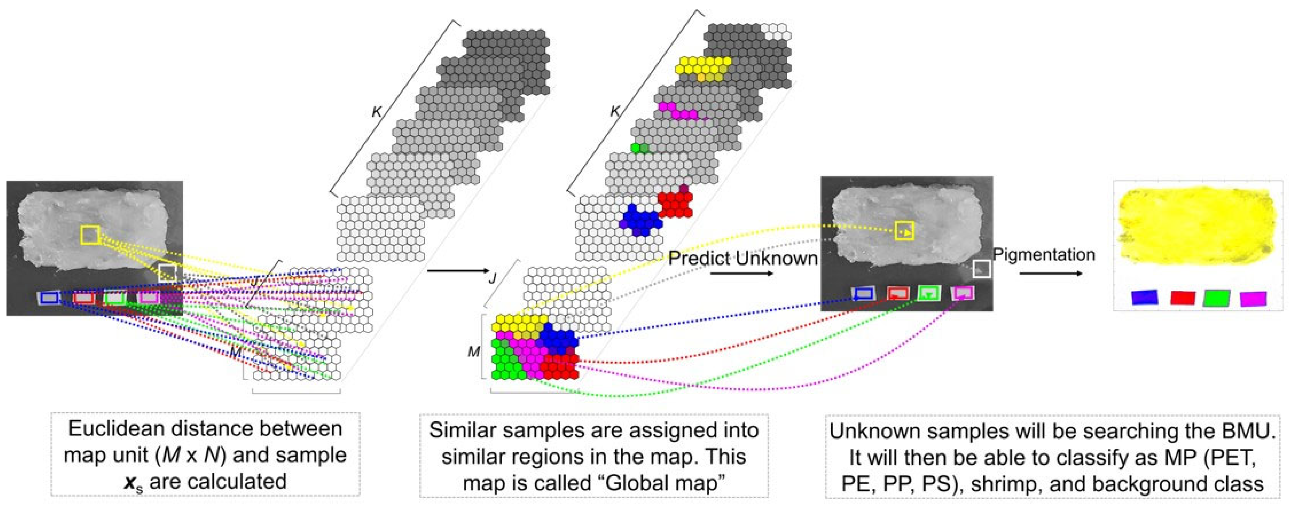 Chemosensors 13 00237 g002