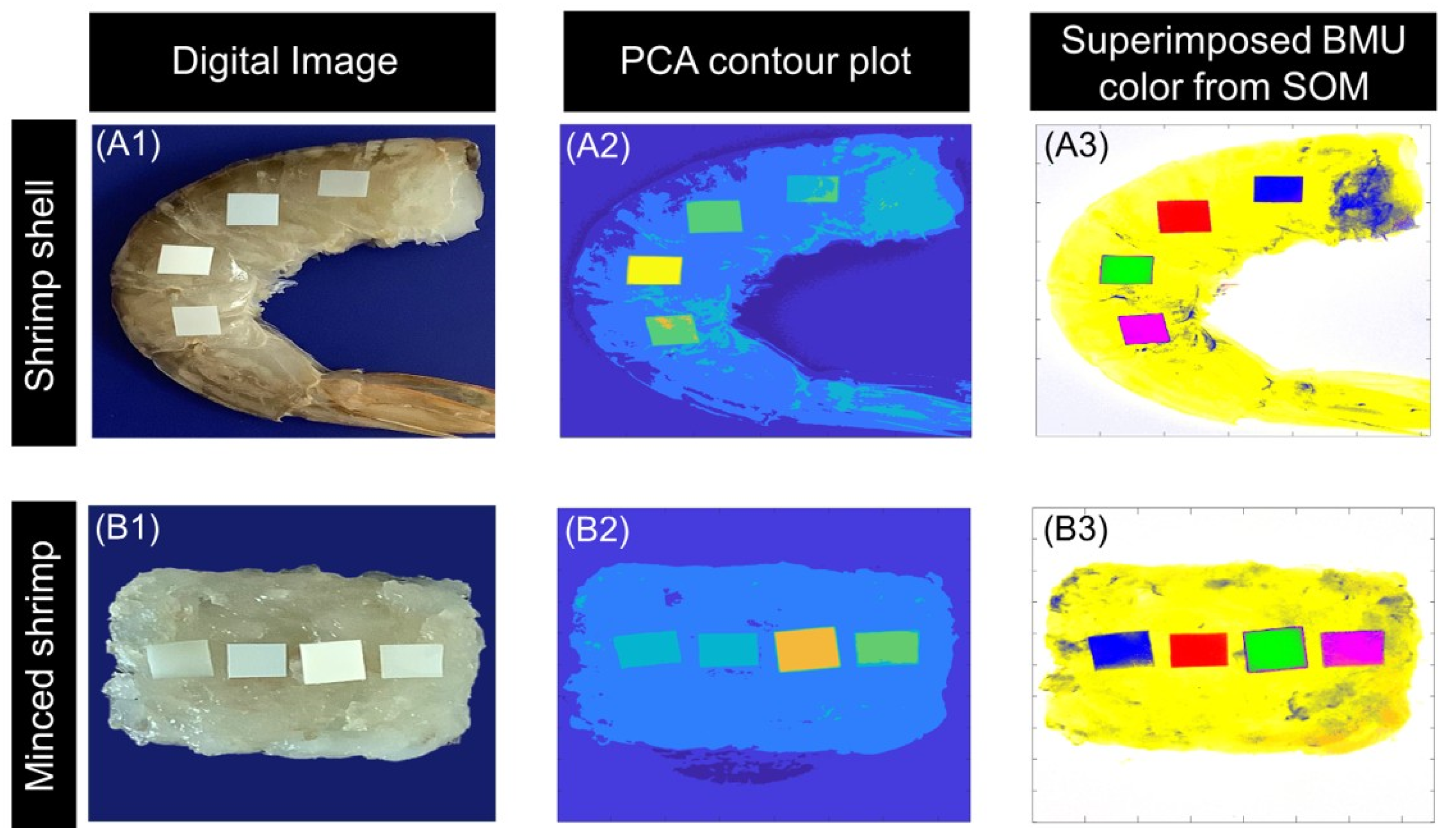 Chemosensors 13 00237 g003