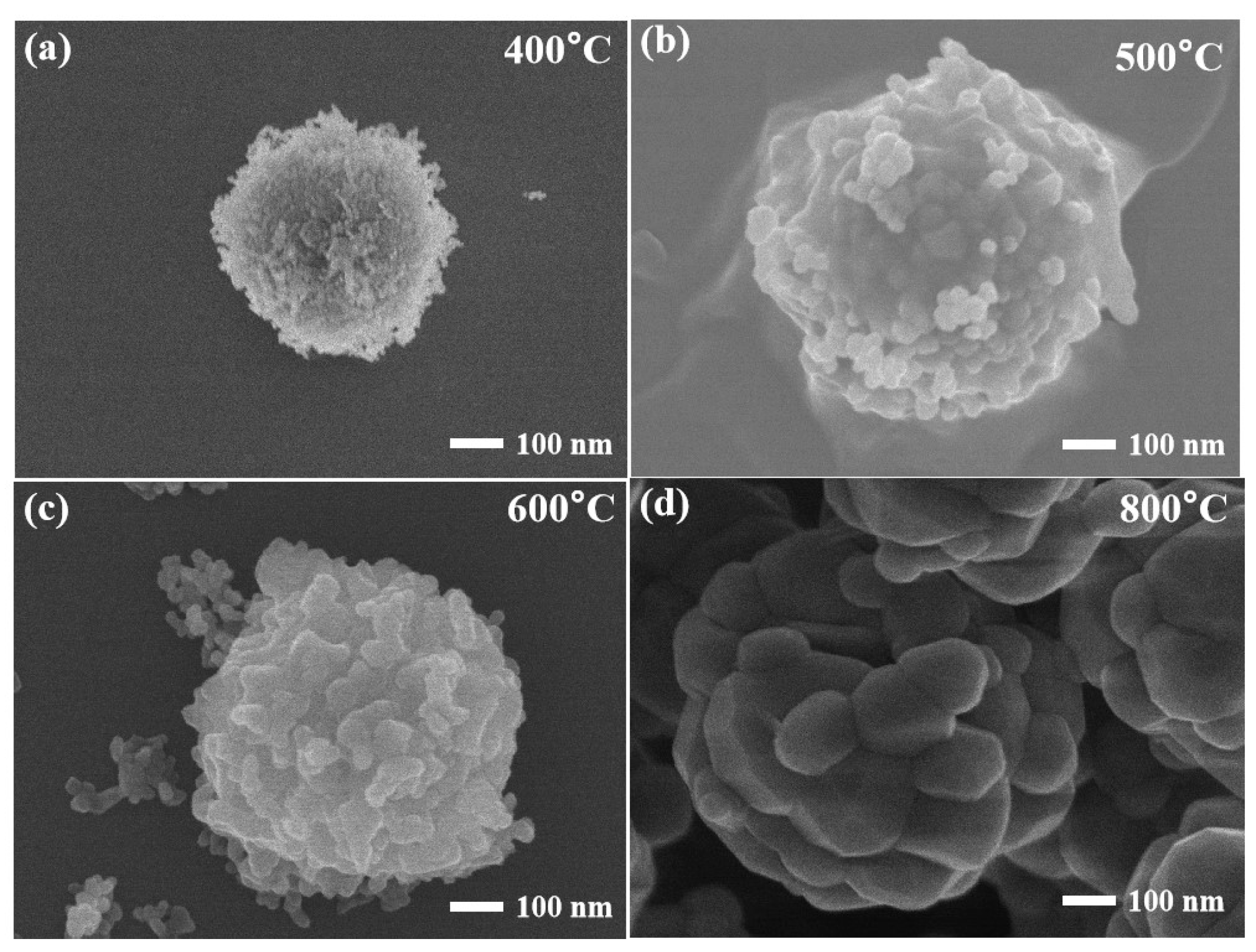 Chemosensors 13 00239 g002