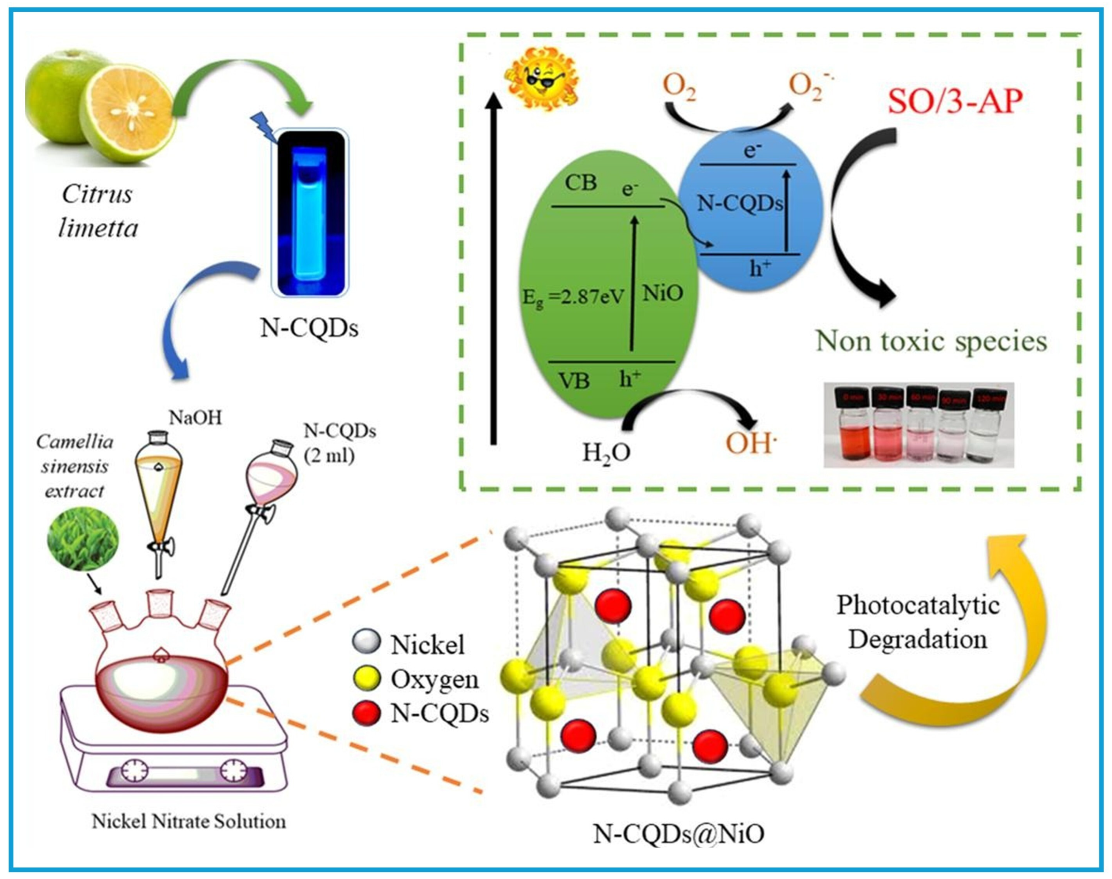 Chemosensors 13 00241 g006