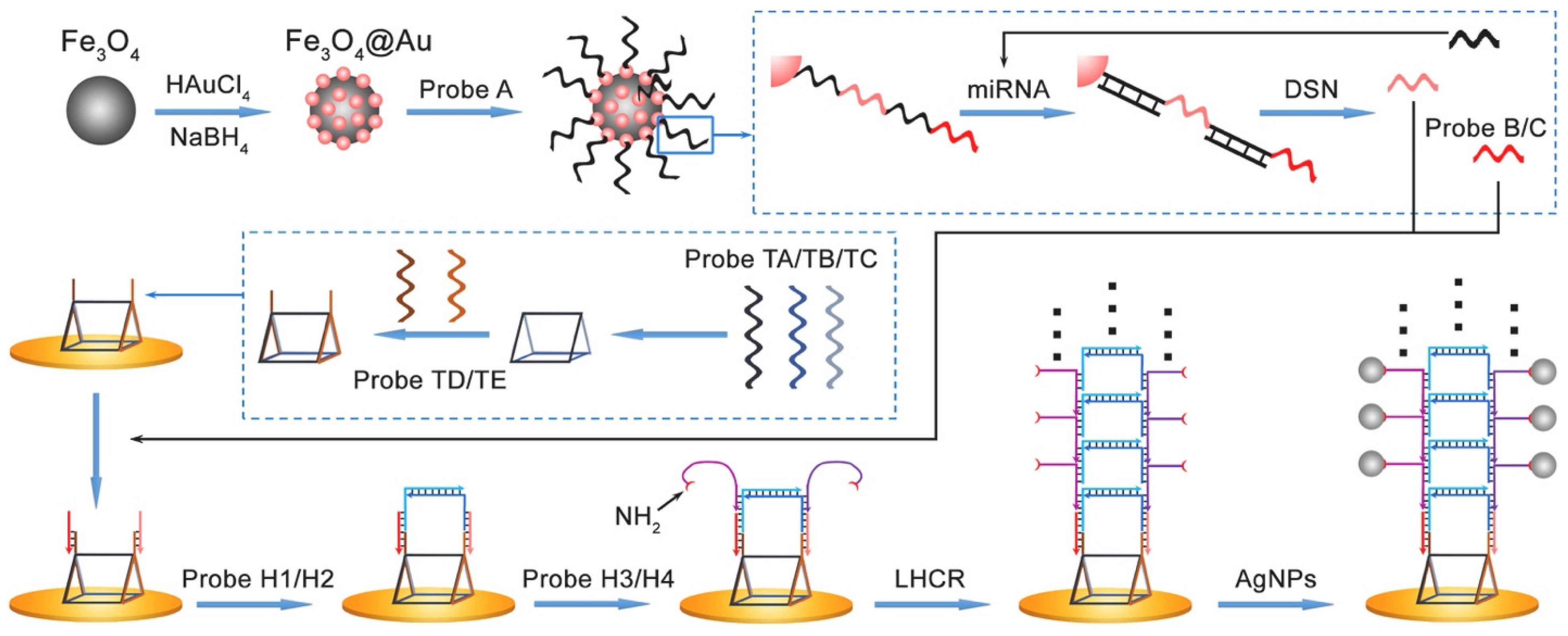 Chemosensors 13 00242 g004