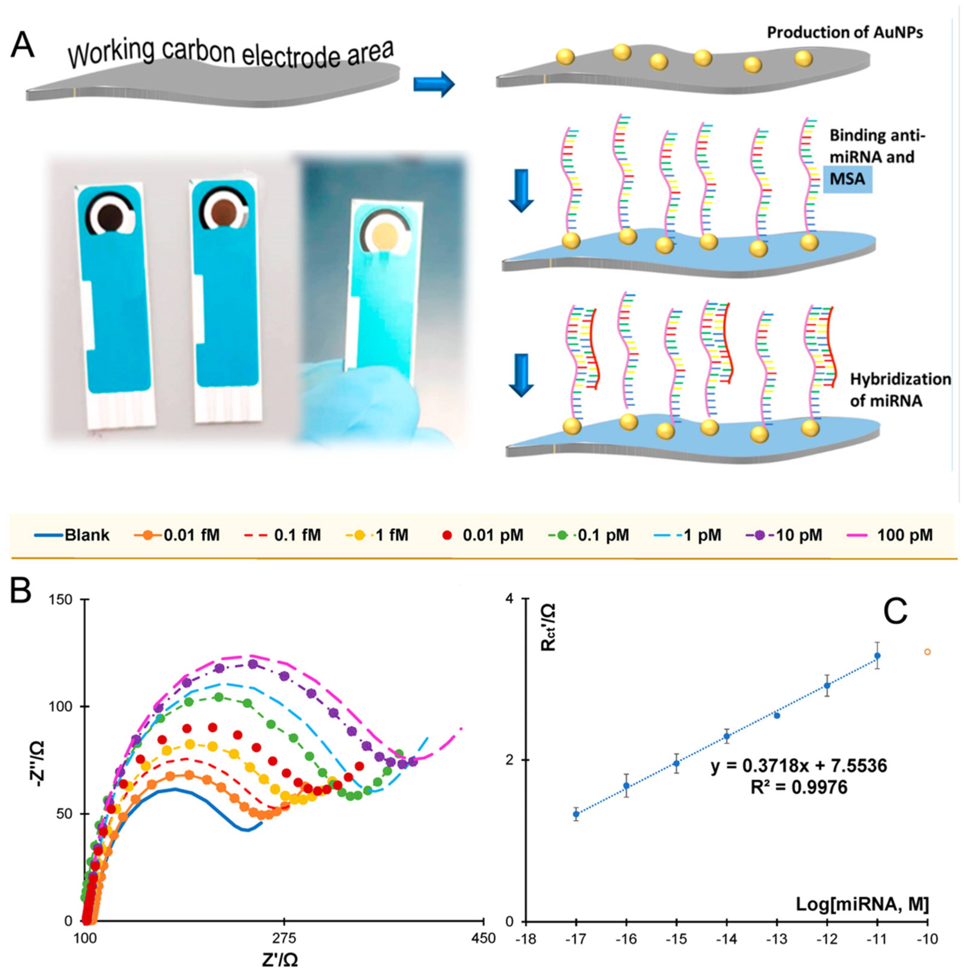 Chemosensors 13 00242 g007