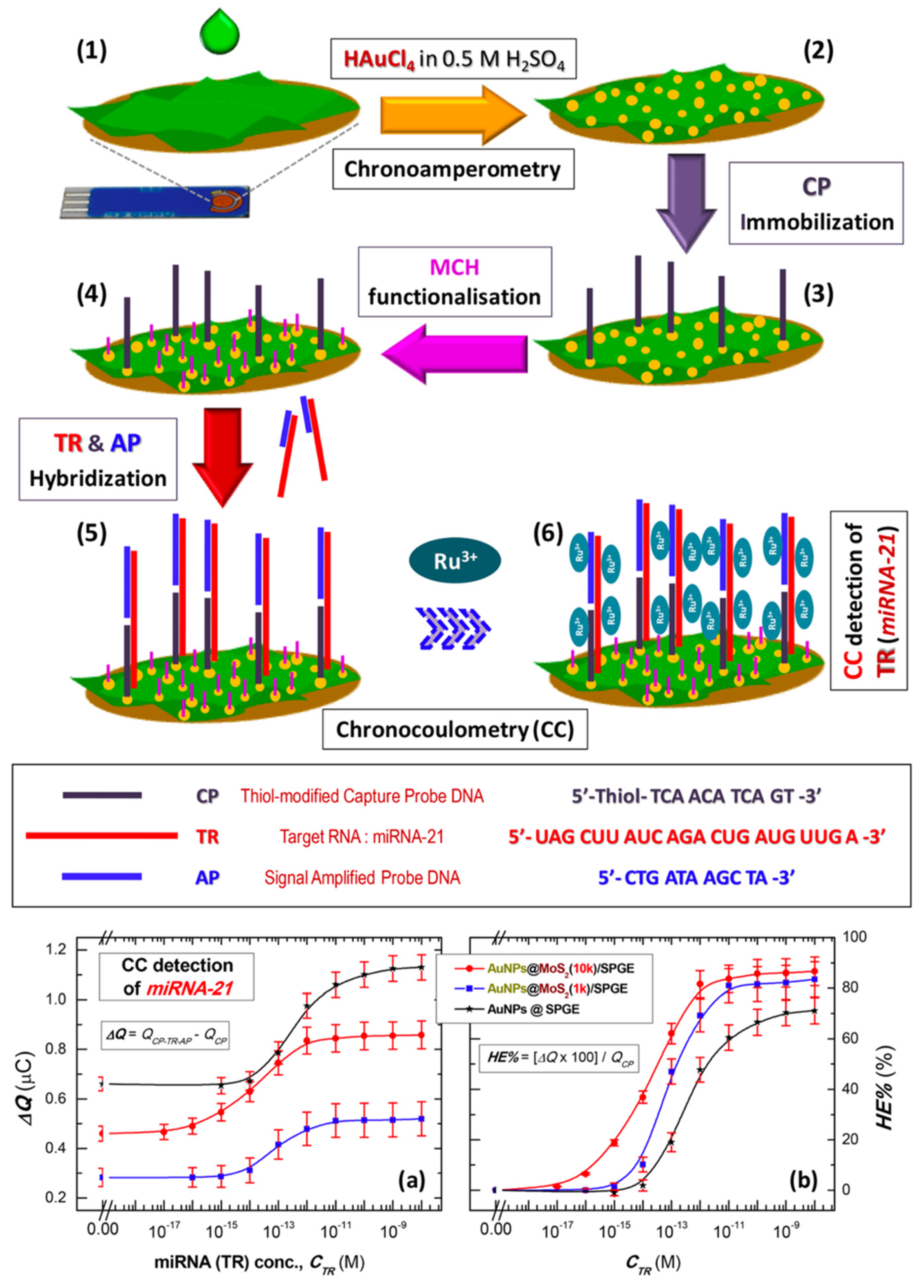 Chemosensors 13 00242 g009