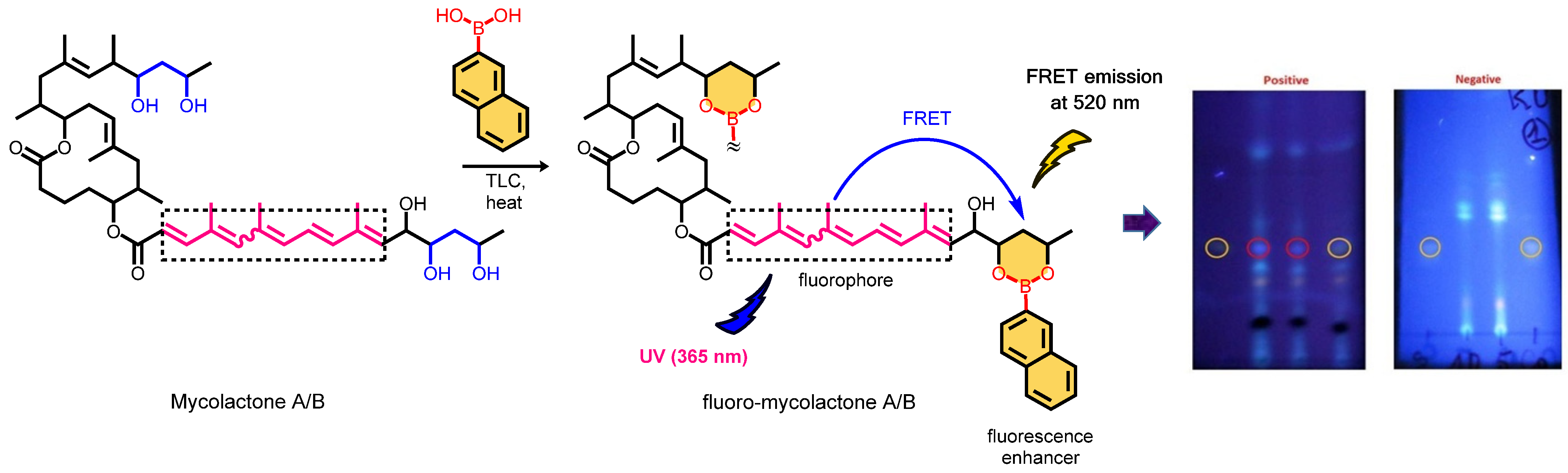 Chemosensors 13 00244 g002