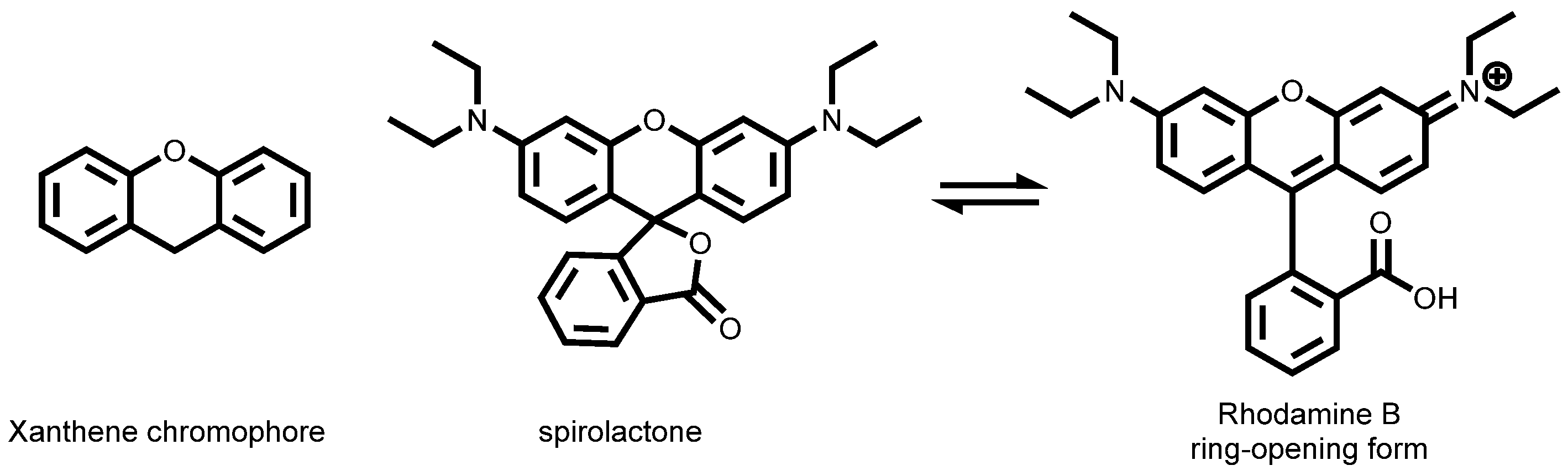 Chemosensors 13 00244 g005