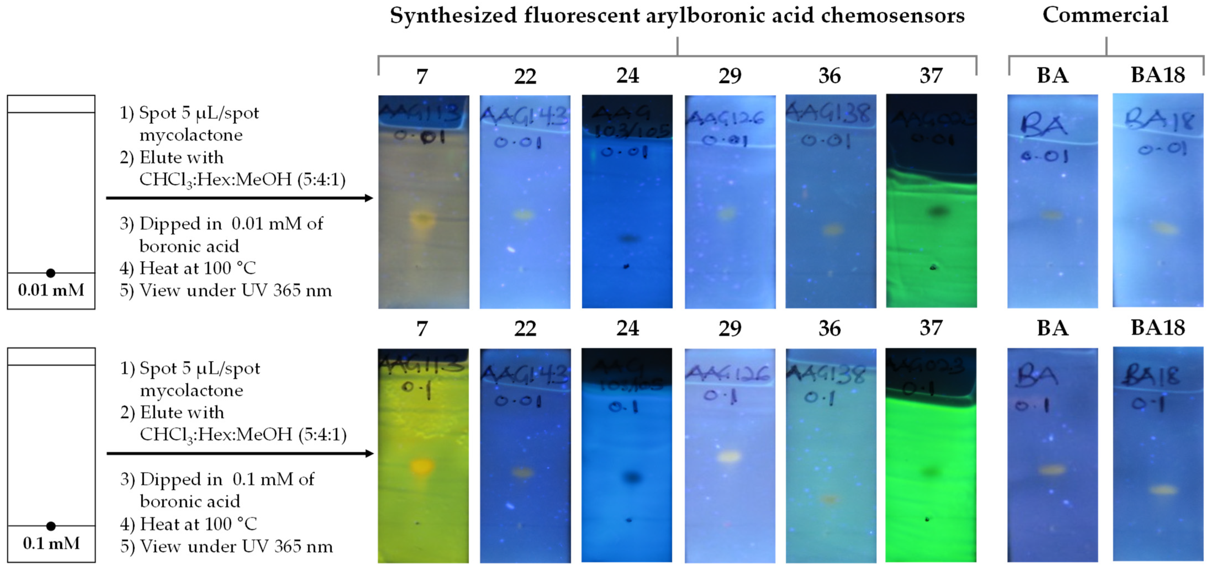 Chemosensors 13 00244 g012a