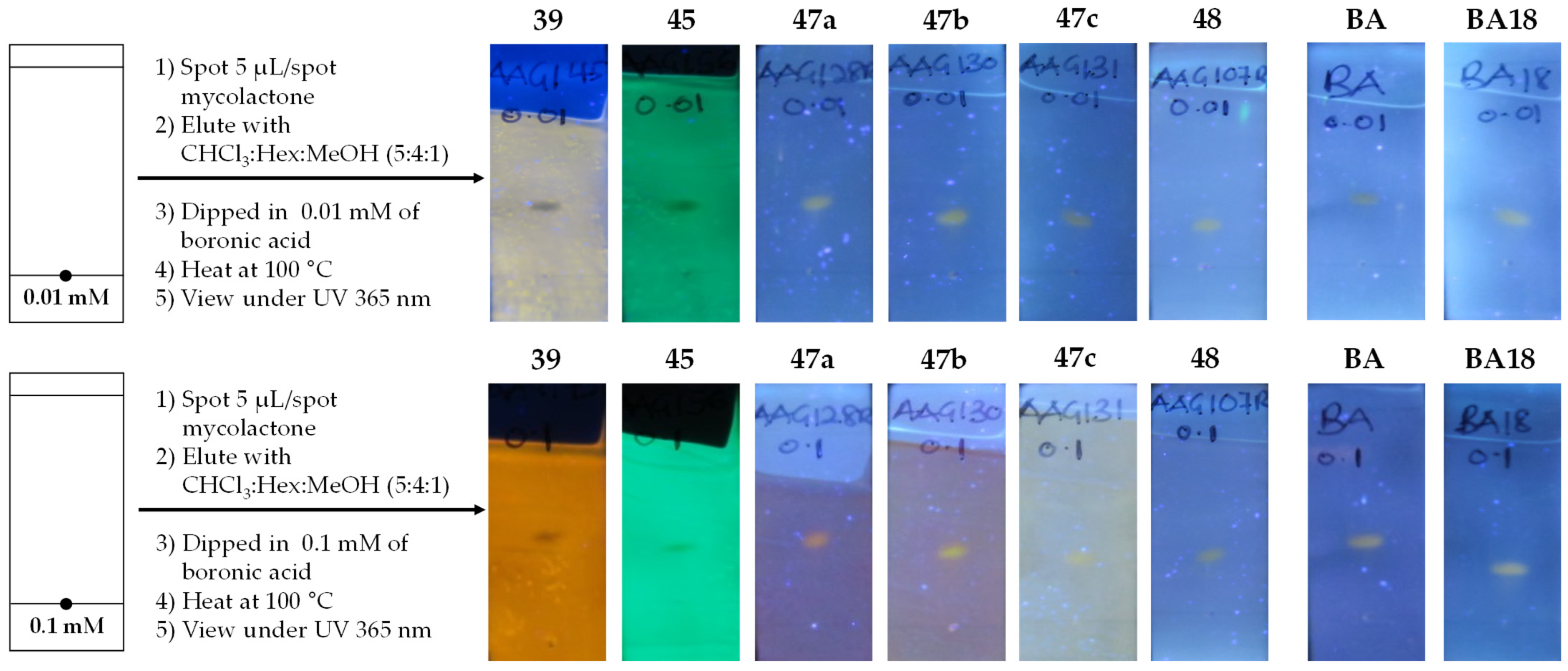 Chemosensors 13 00244 g012b
