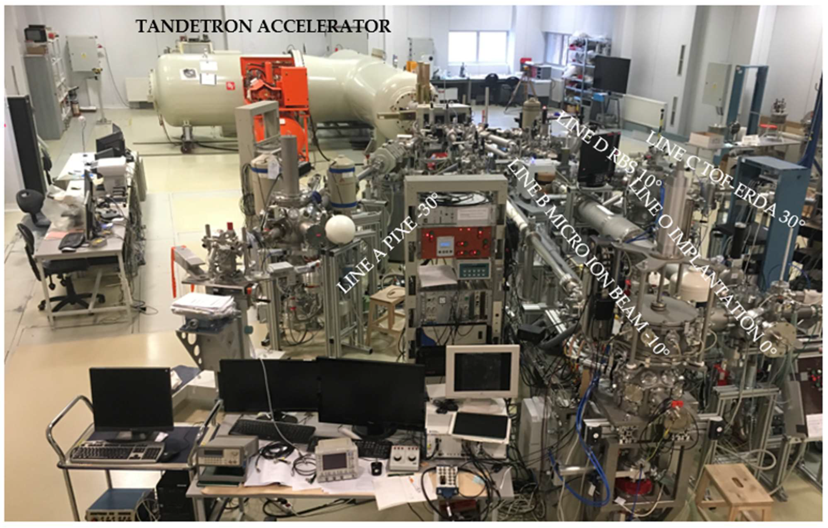 Chemosensors 13 00245 g002