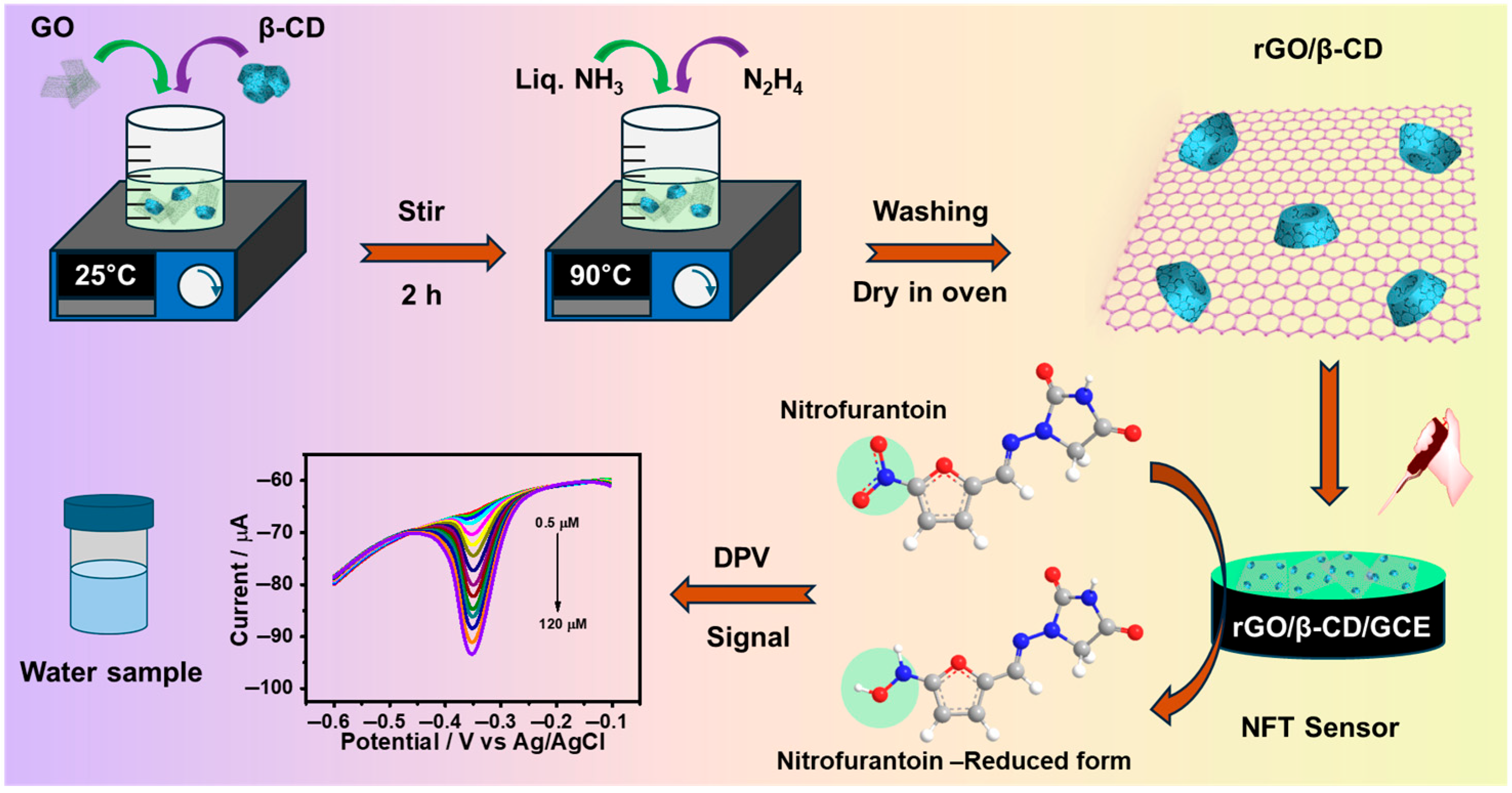 Chemosensors 13 00247 sch001