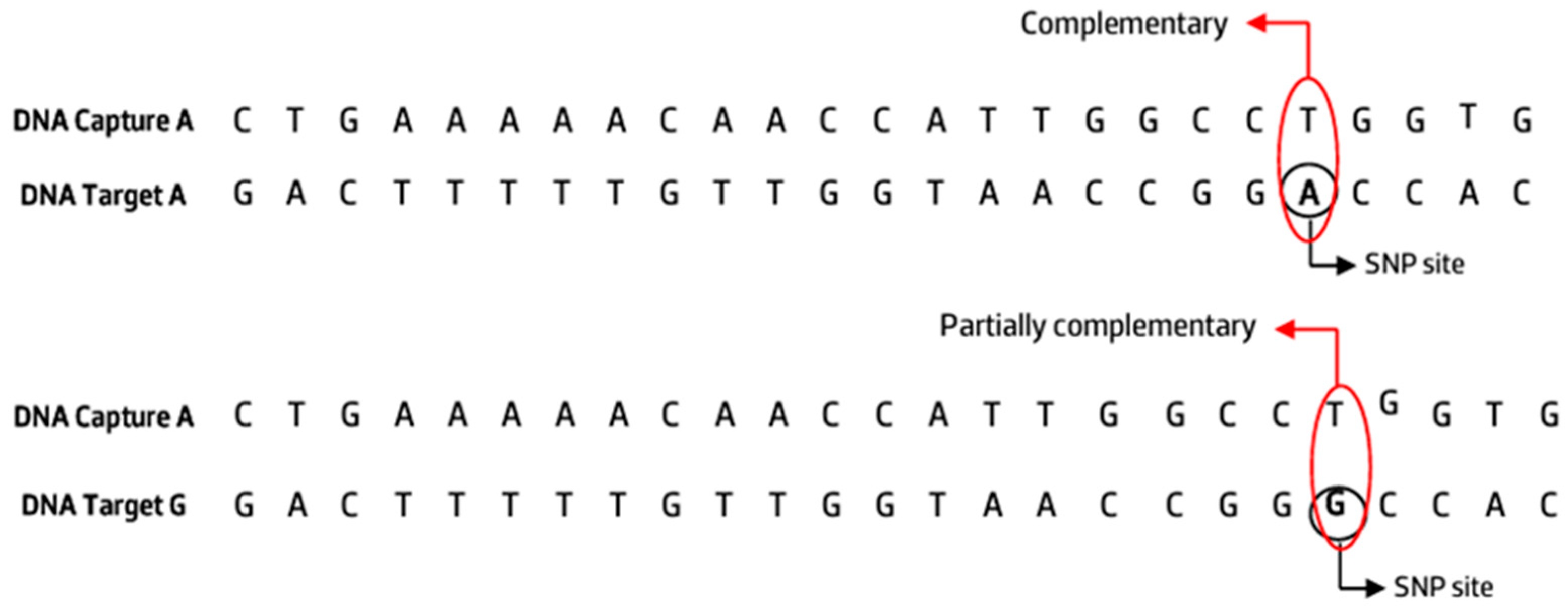 Chemosensors 13 00248 sch001