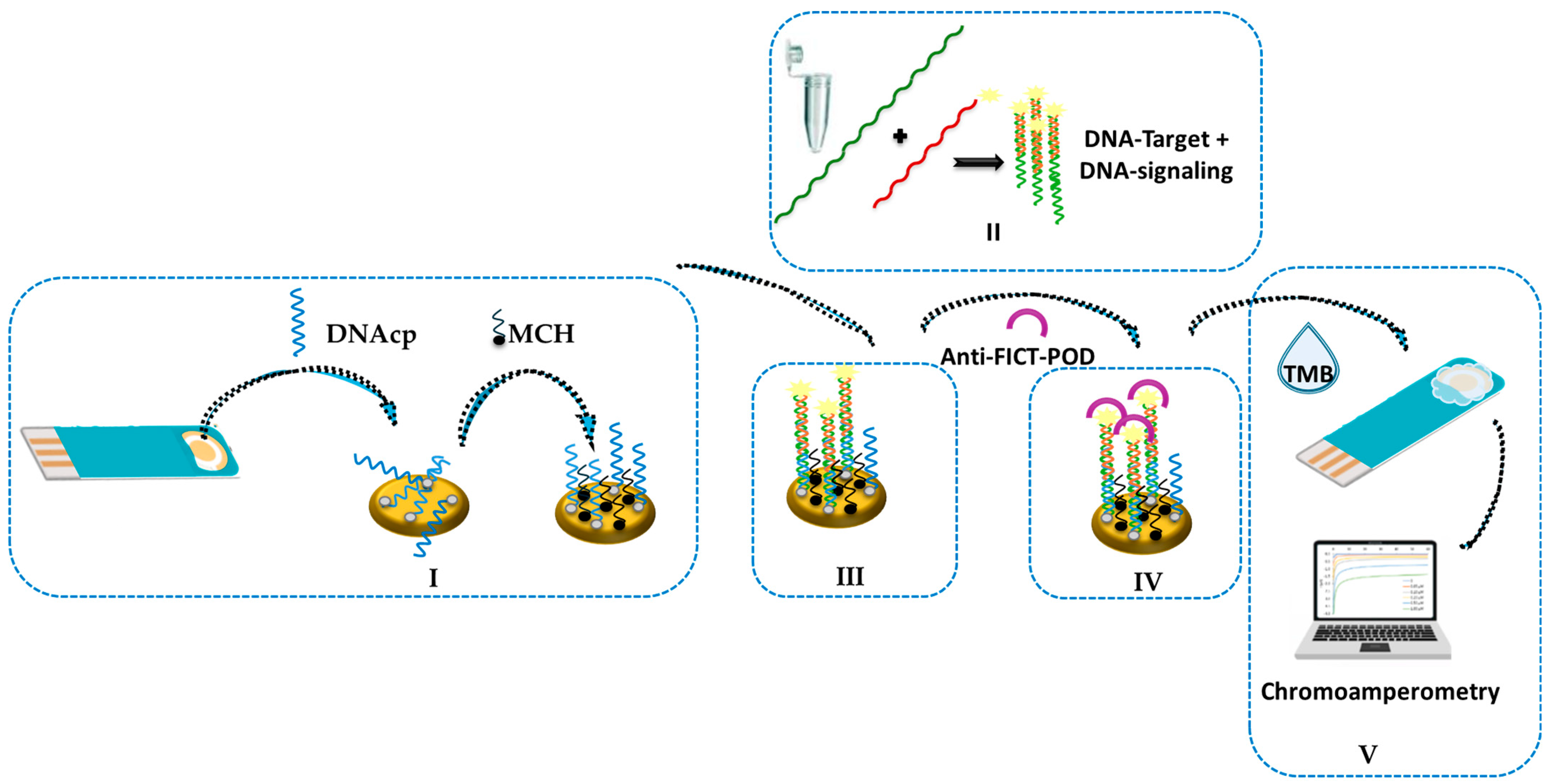Chemosensors 13 00248 sch002